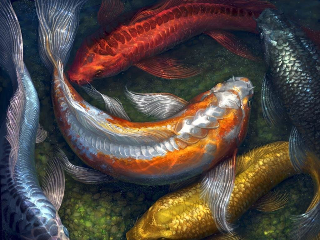 Awesome Koi free wallpaper ID:134446 for hd 1024x768 computer