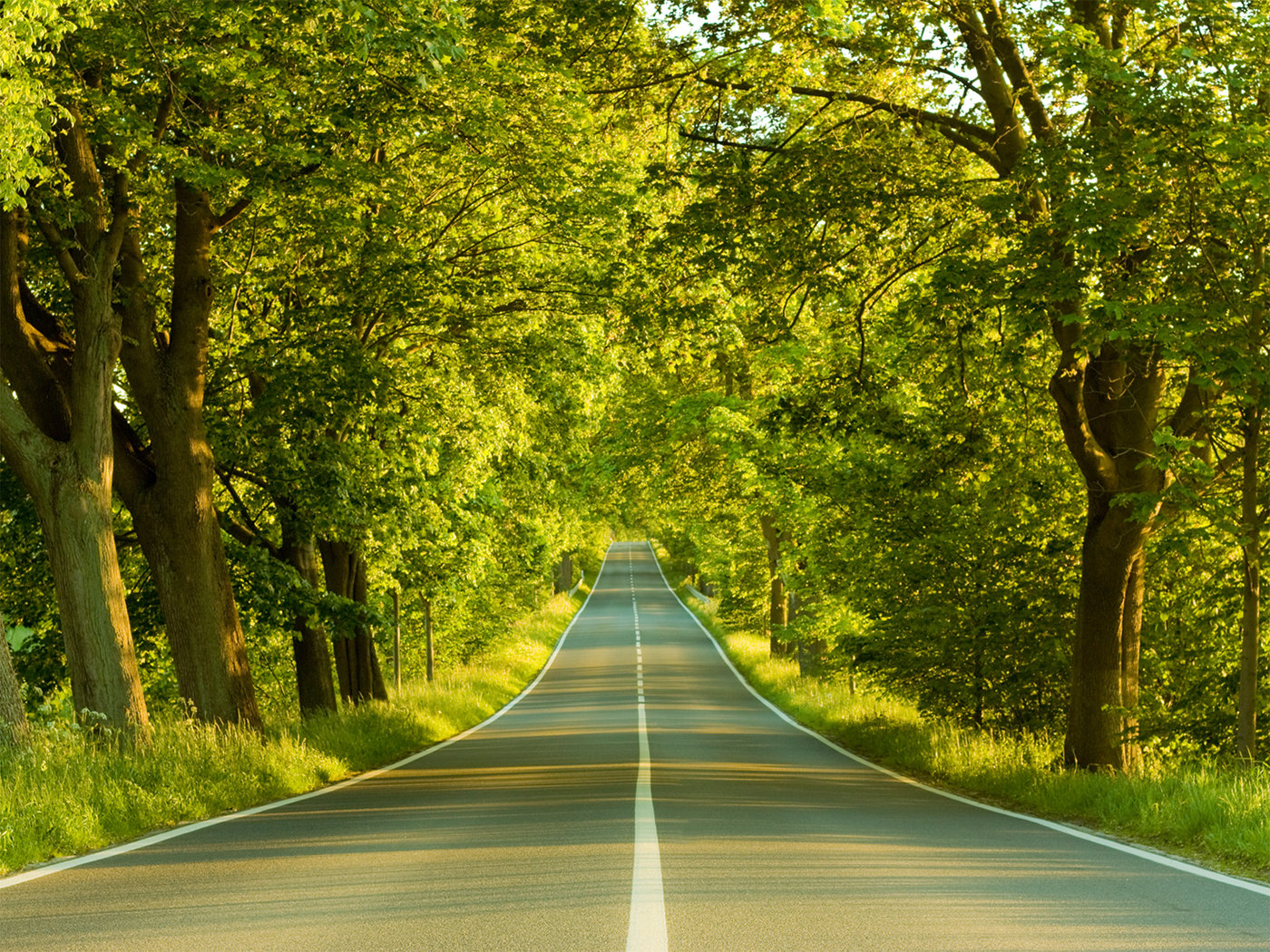 Awesome Road free background ID:491521 for hd 1400x1050 computer