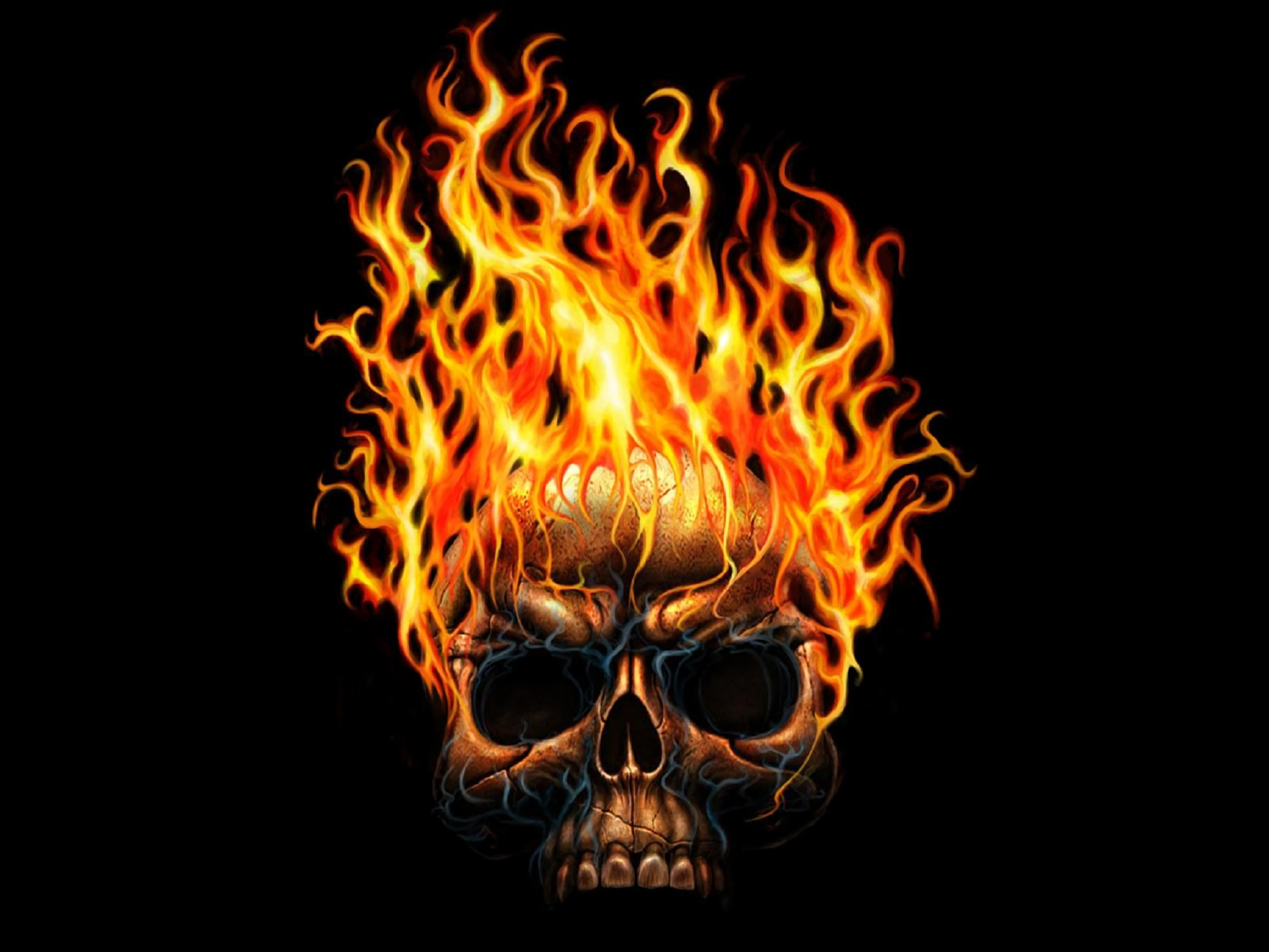 High resolution Skull hd 3200x2400 background ID:320401 for computer