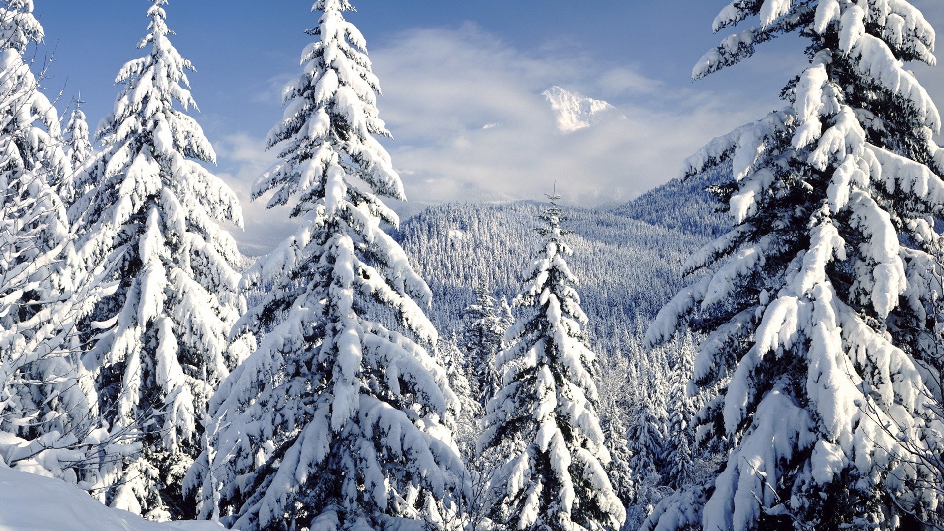 Best Winter background ID:250991 for High Resolution full hd computer