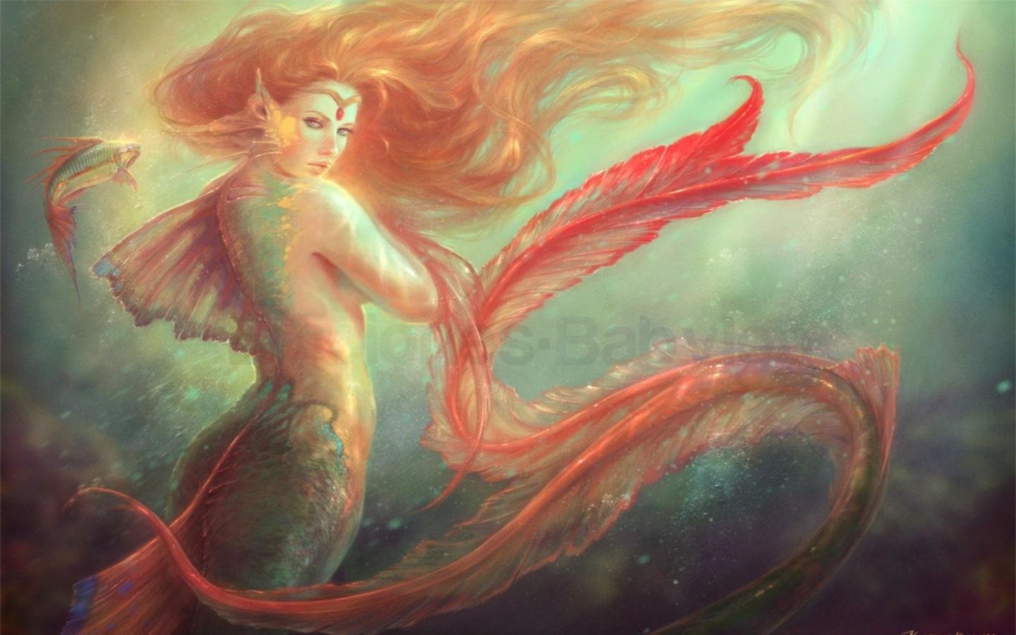 Best Mermaid wallpaper ID:329362 for High Resolution hd 1440x900 PC