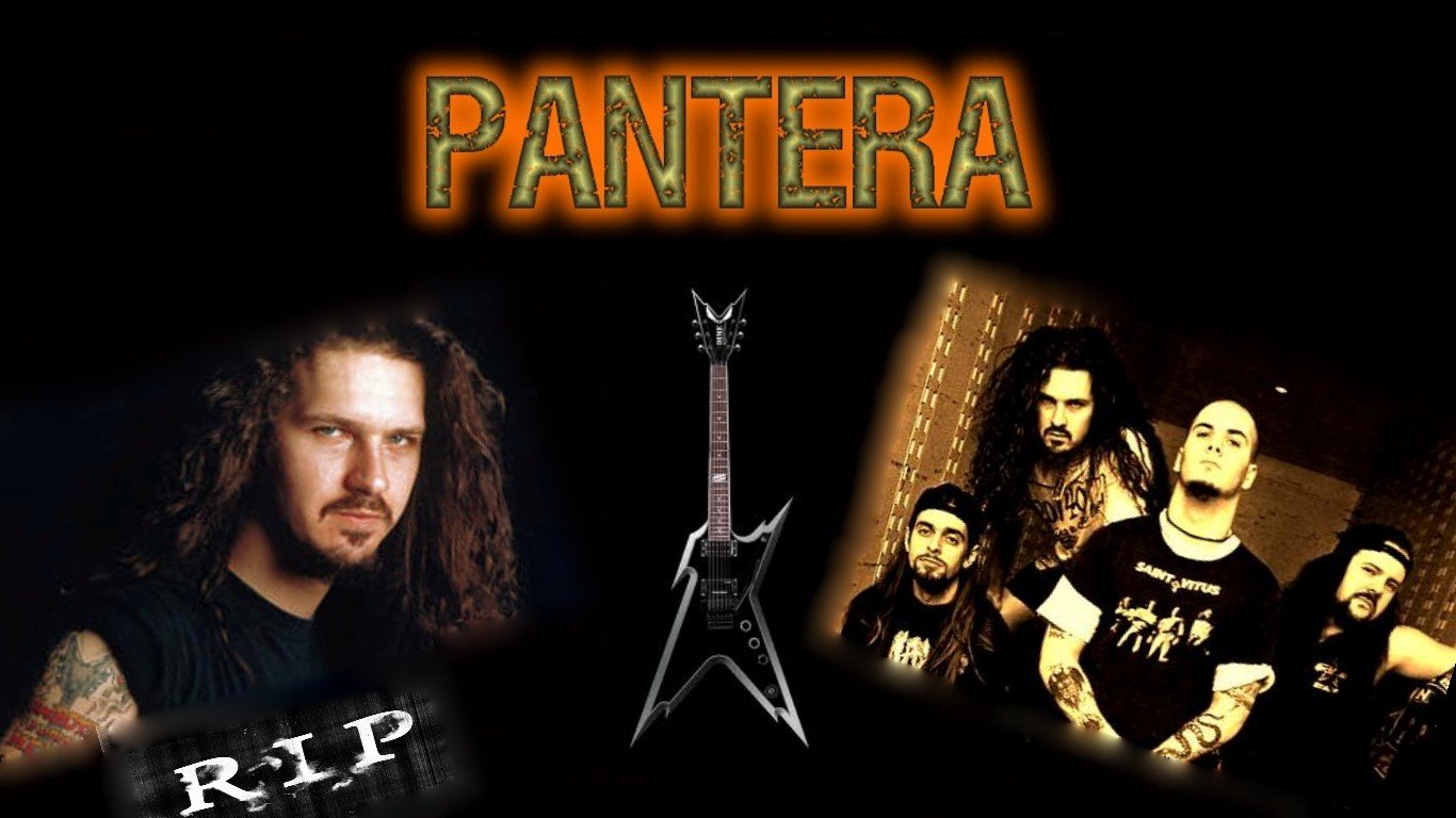 High resolution Pantera laptop background ID:146137 for PC