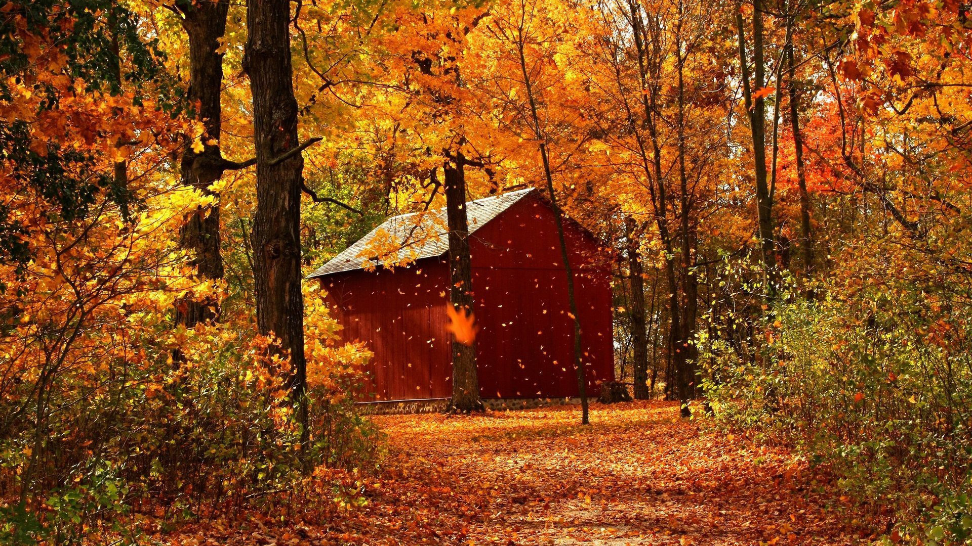 Download hd 1080p Cabin PC wallpaper ID:485802 for free