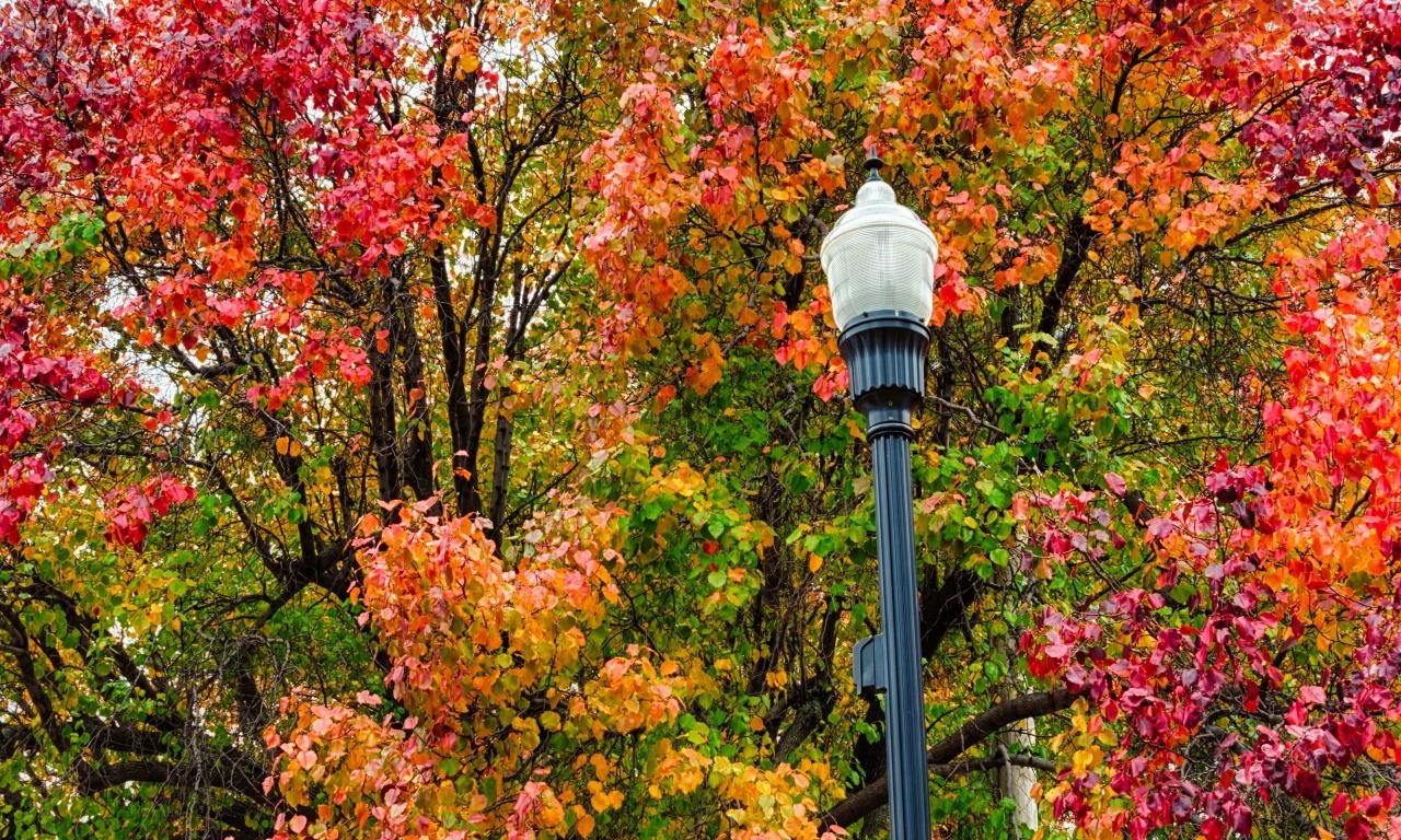 Awesome Lamp Post free wallpaper ID:34653 for hd 1280x768 computer