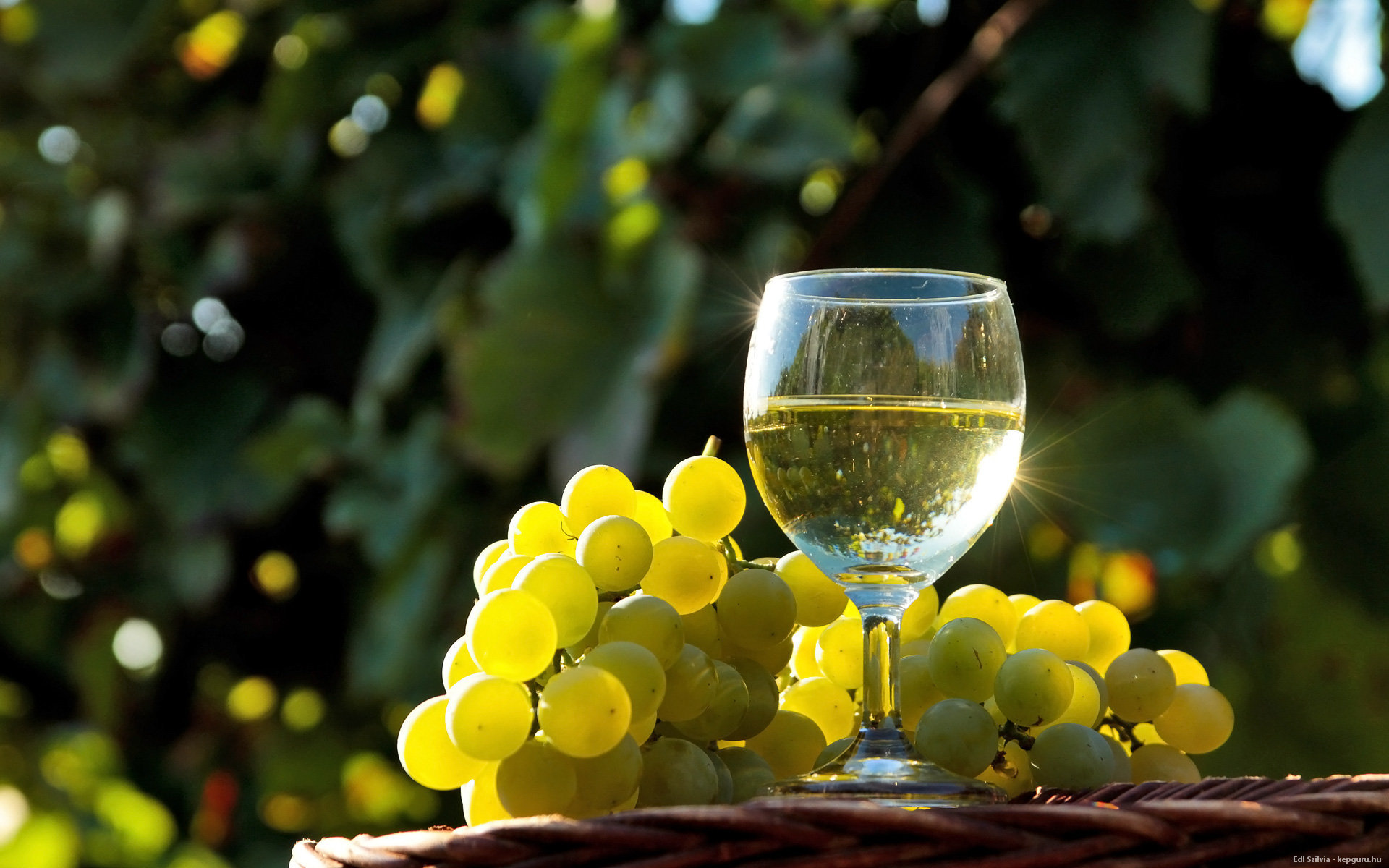 Awesome Wine free wallpaper ID:71203 for hd 1920x1200 PC