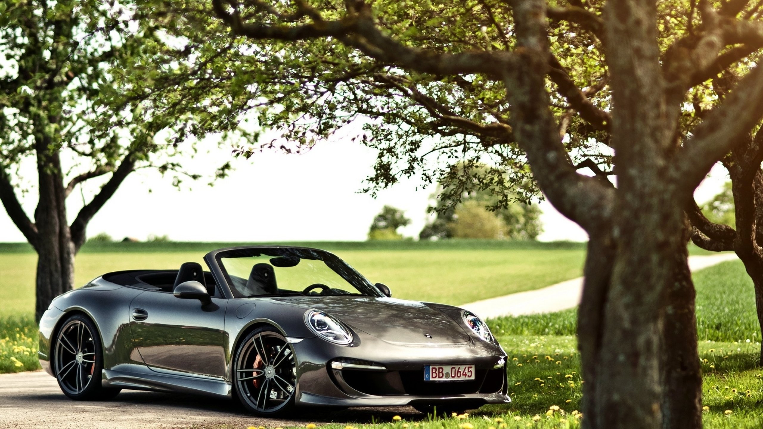 Free download Porsche background ID:19258 hd 2560x1440 for computer