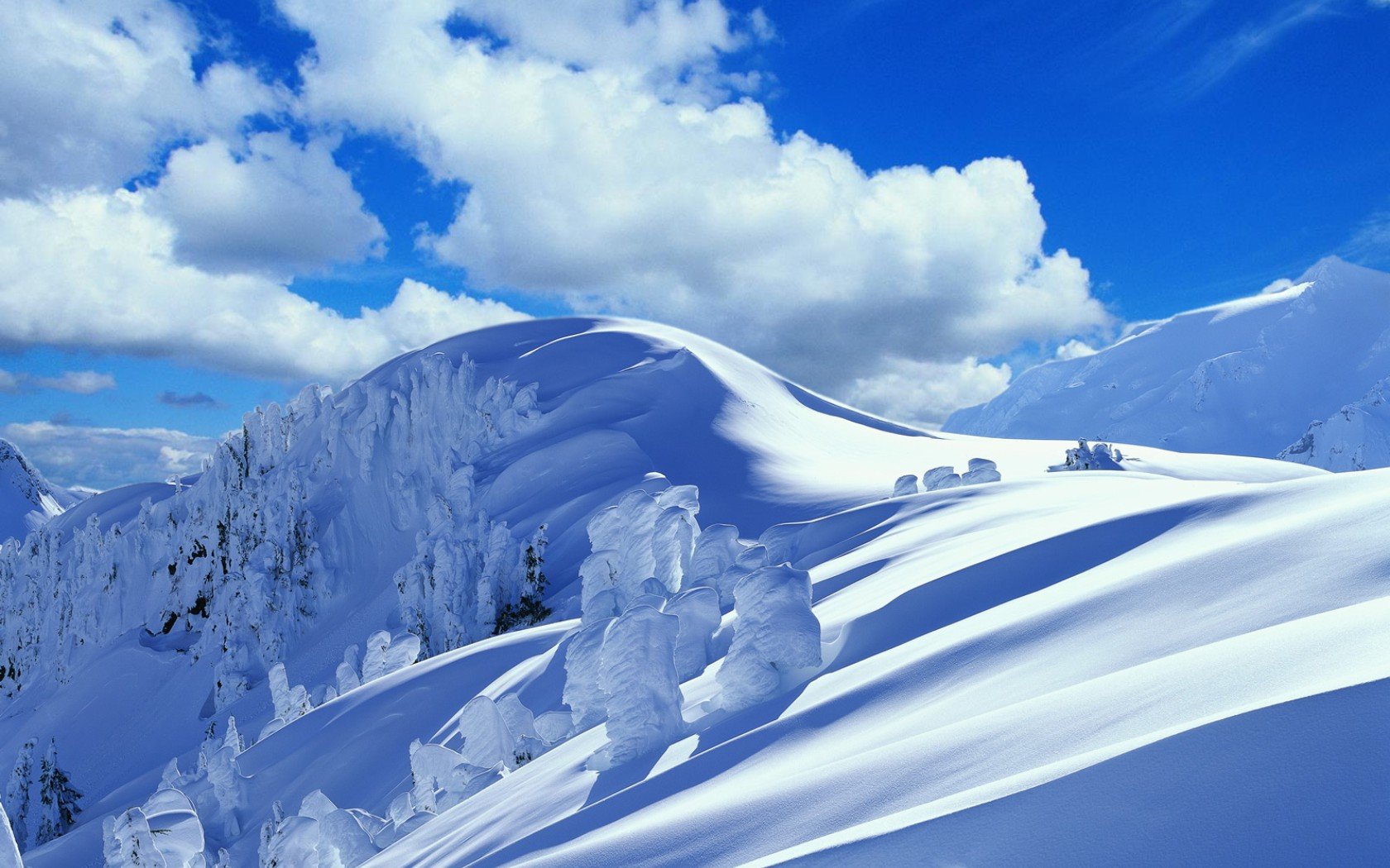 Free download Winter wallpaper ID:250731 hd 1680x1050 for PC