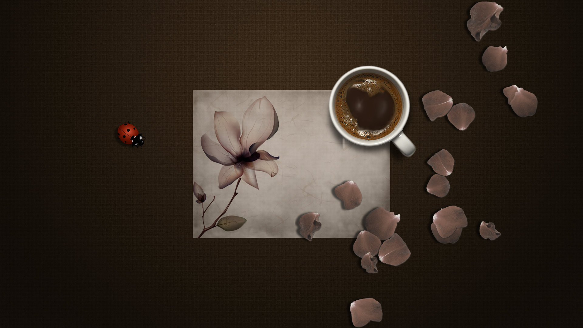 Download hd 1920x1080 Coffee computer background ID:33529 for free