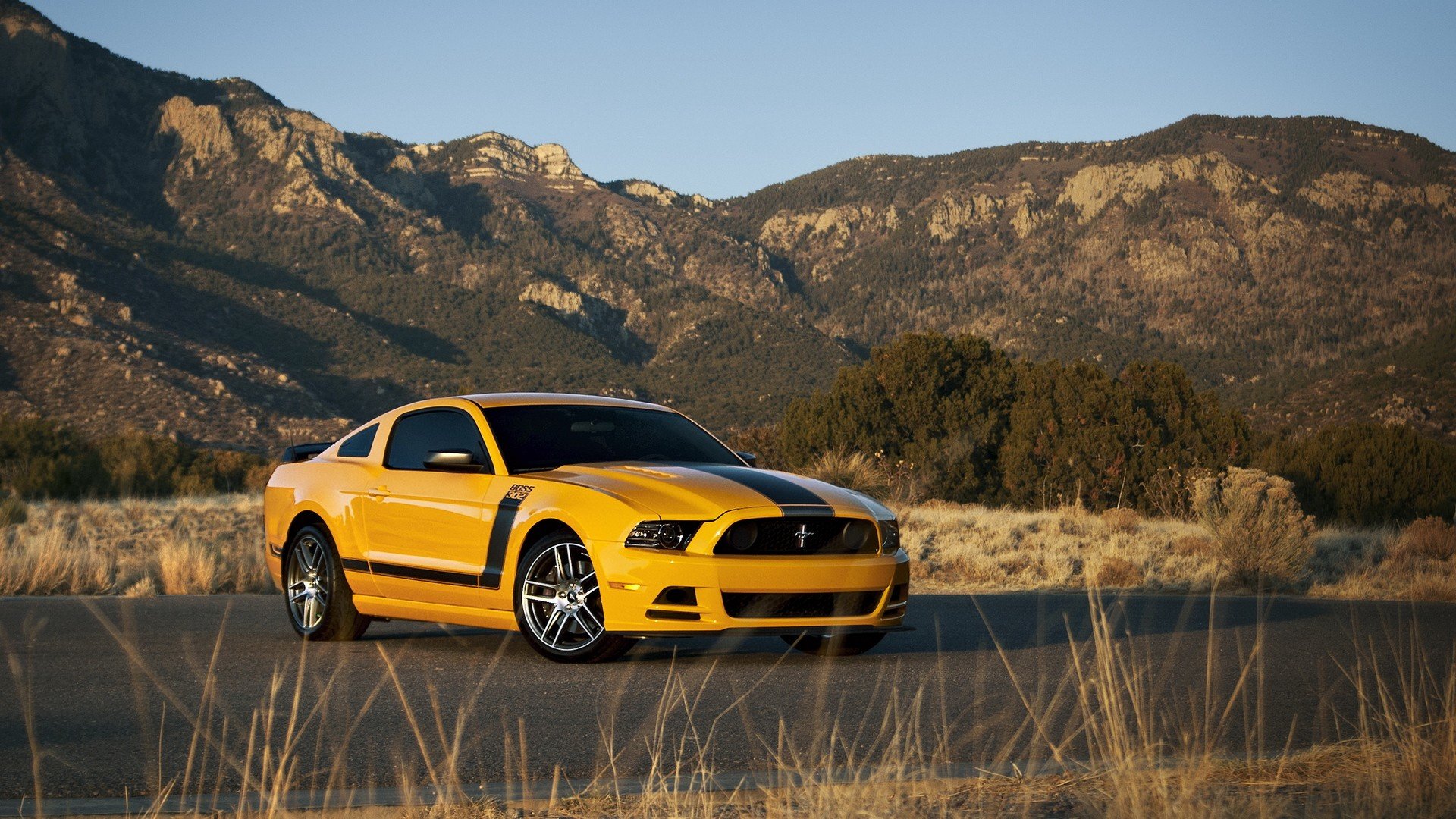 Free Ford Mustang high quality wallpaper ID:204938 for hd 1080p computer
