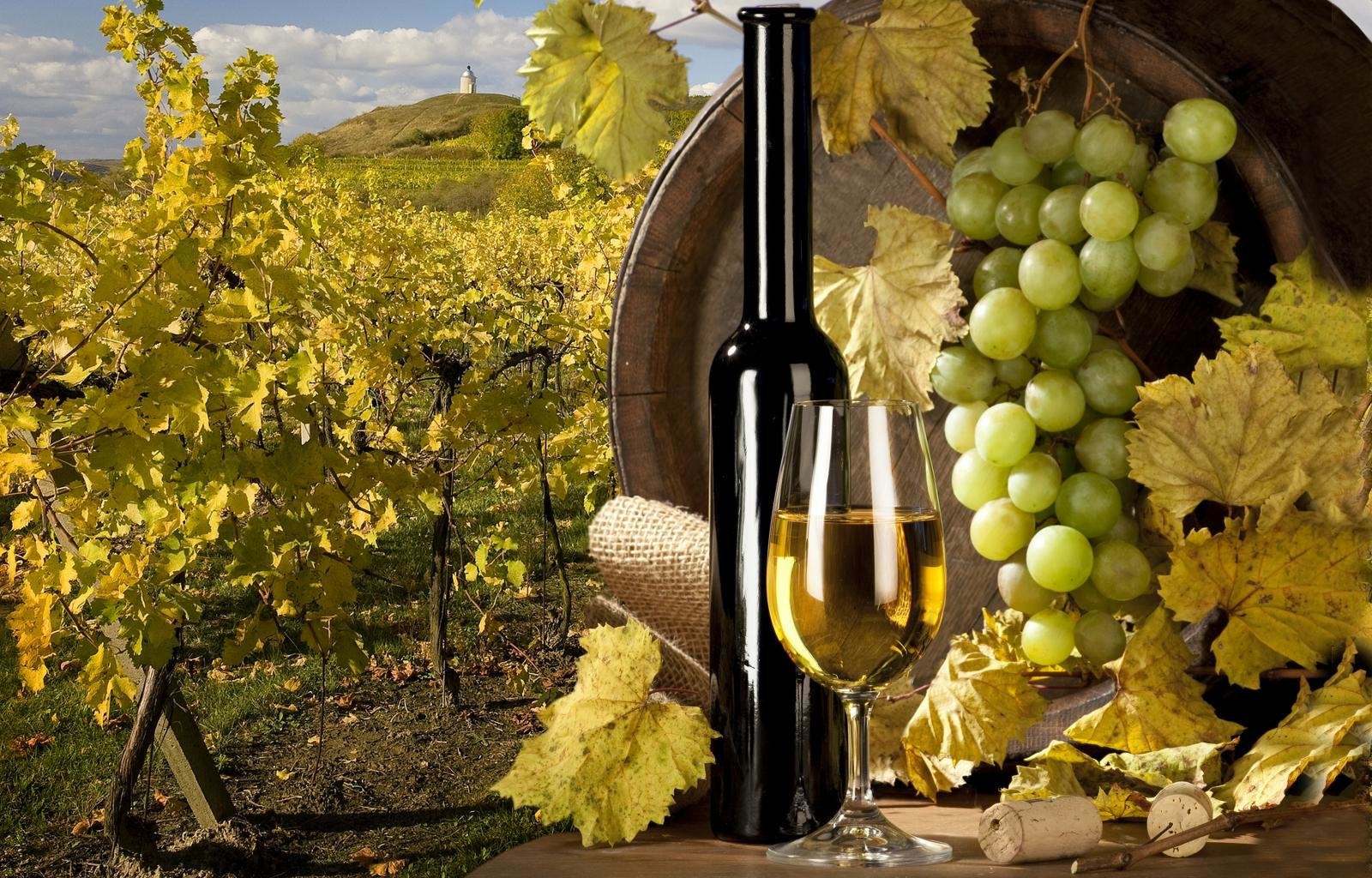 Awesome Wine free background ID:71198 for hd 1600x1024 desktop