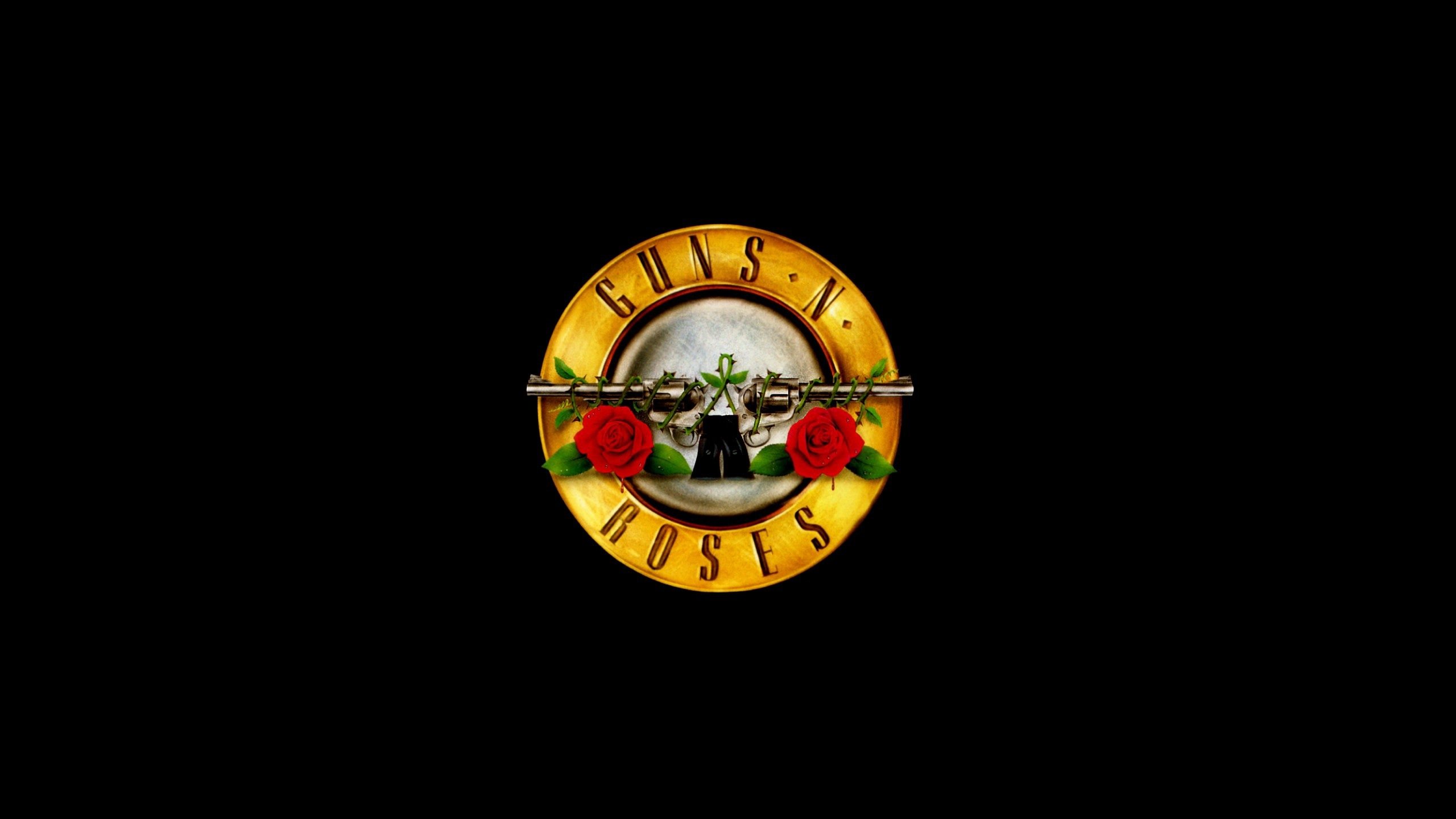 High resolution Guns N' Roses hd 2560x1440 wallpaper ID:256844 for desktop