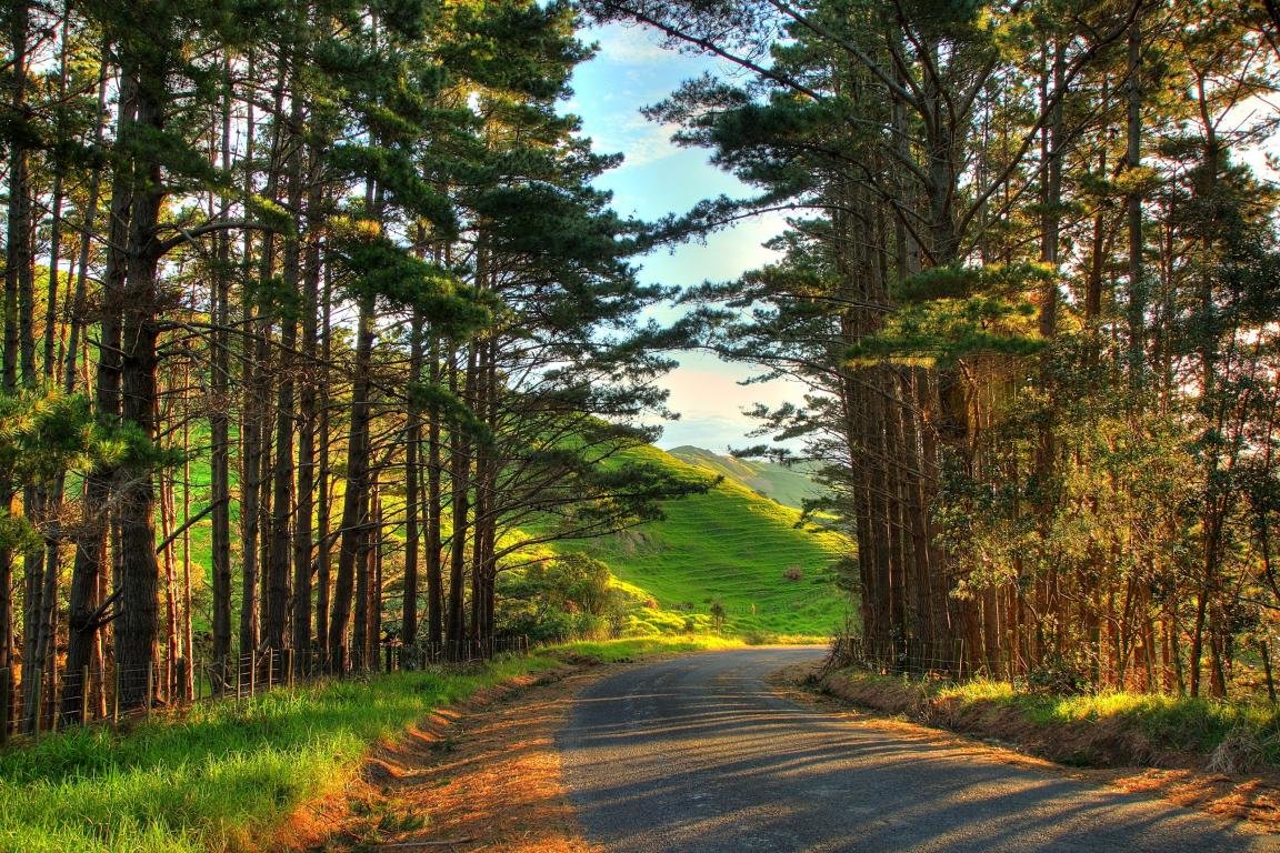 Best Road wallpaper ID:490948 for High Resolution hd 1152x768 computer