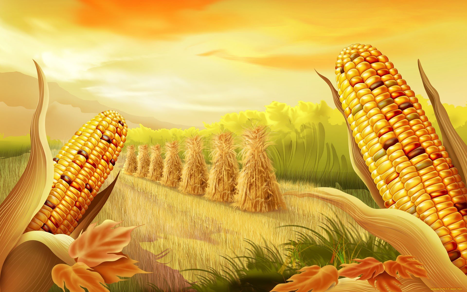 Best Corn background ID:100682 for High Resolution hd 1920x1200 computer