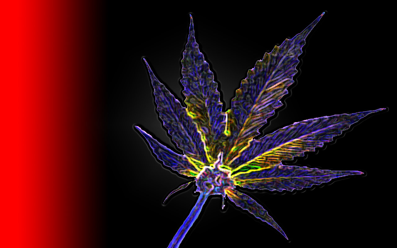 High resolution Weed marijuana hd 1280x800 background ID:282590 for PC