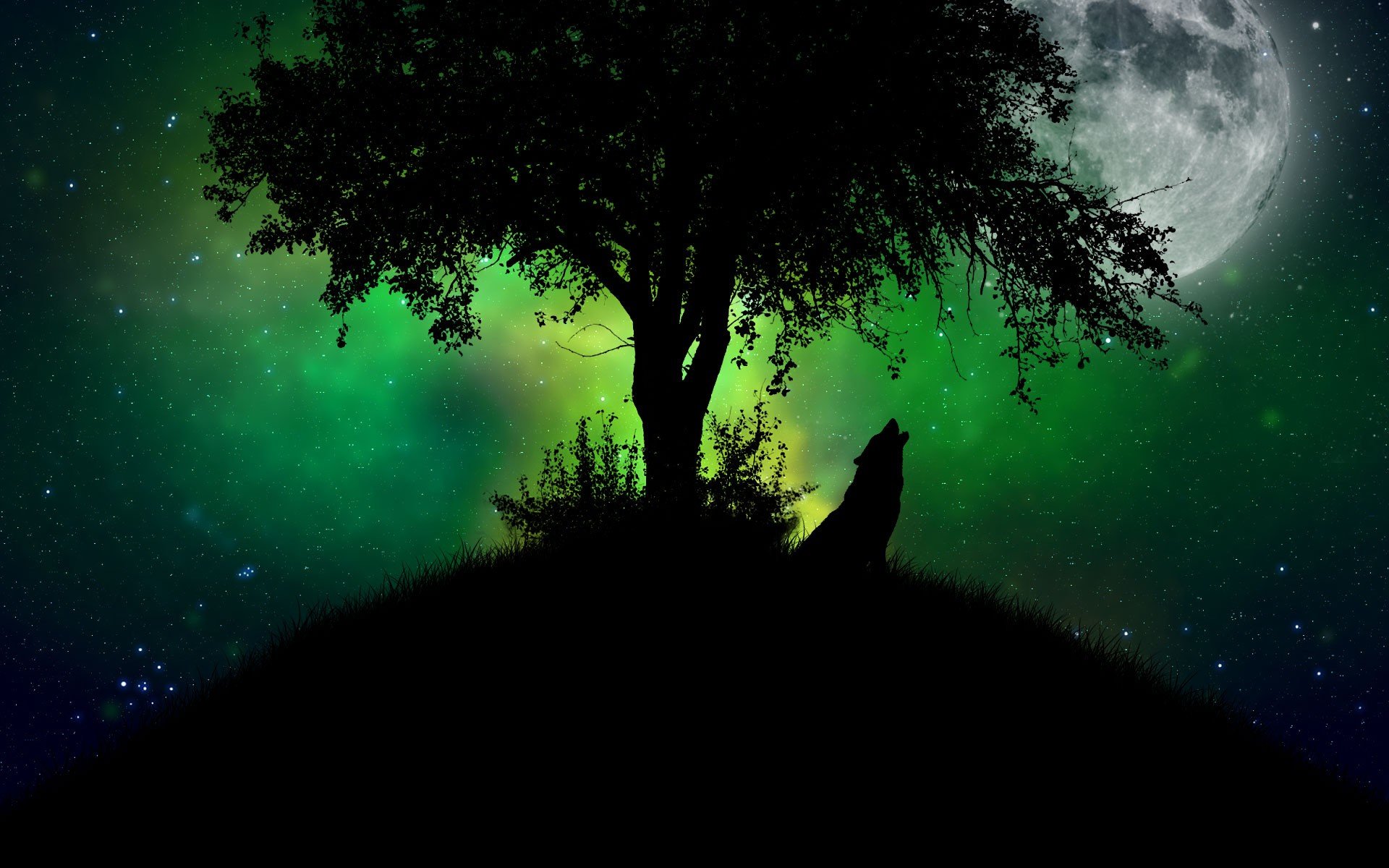 Free download Wolf background ID:117637 hd 1920x1200 for desktop