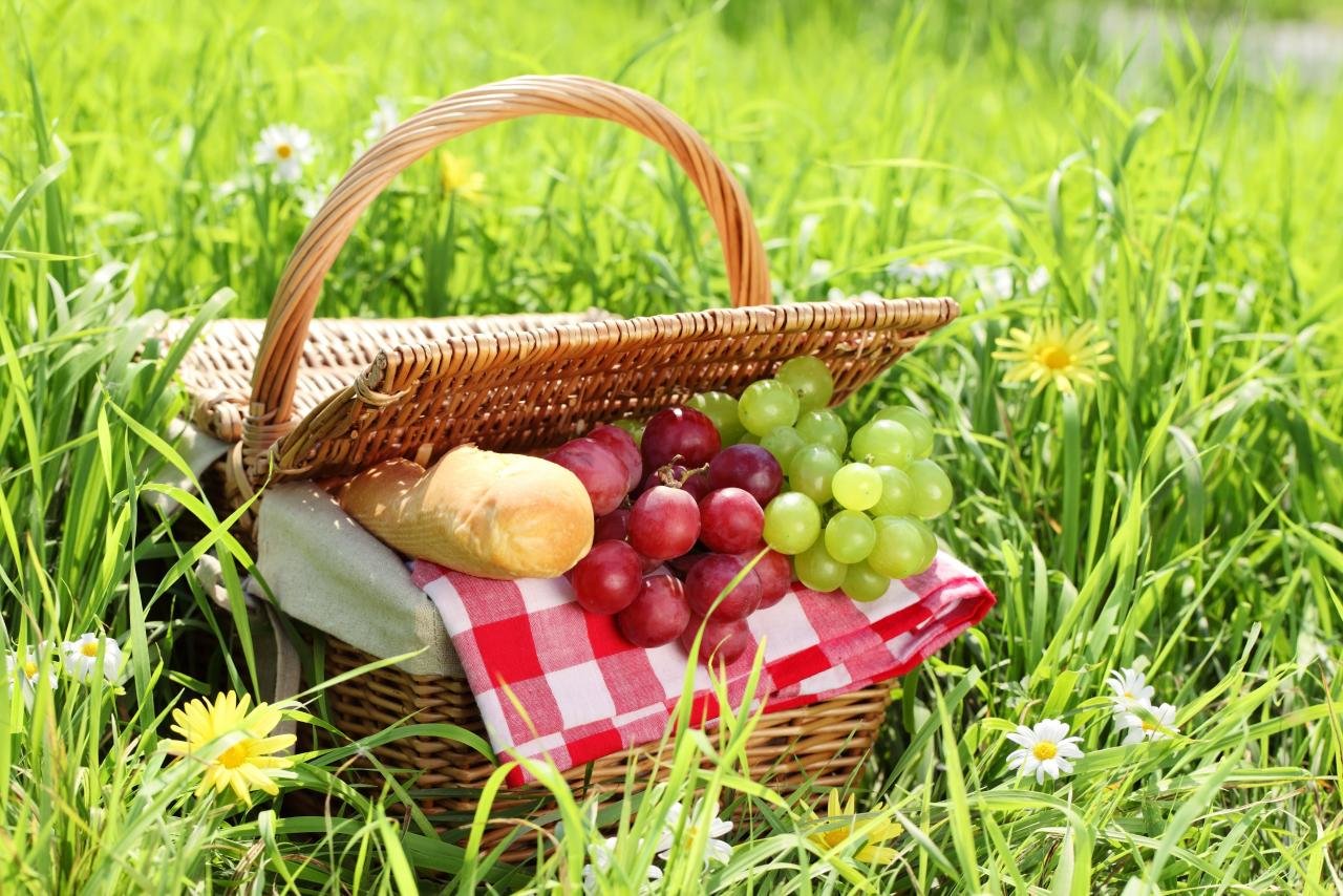 Awesome Picnic free background ID:353044 for hd 1280x854 PC