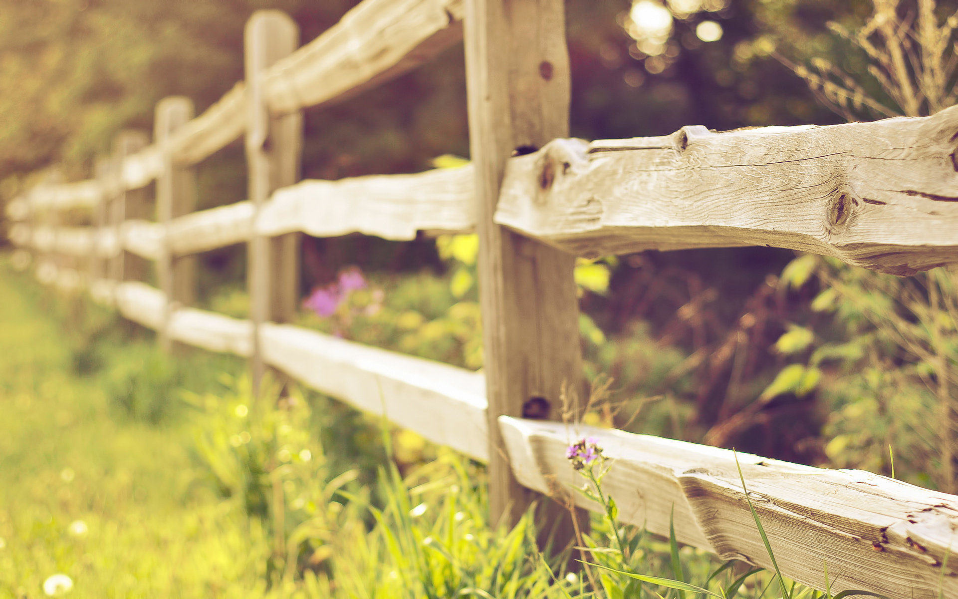 Free download Fence wallpaper ID:22895 hd 1920x1200 for computer