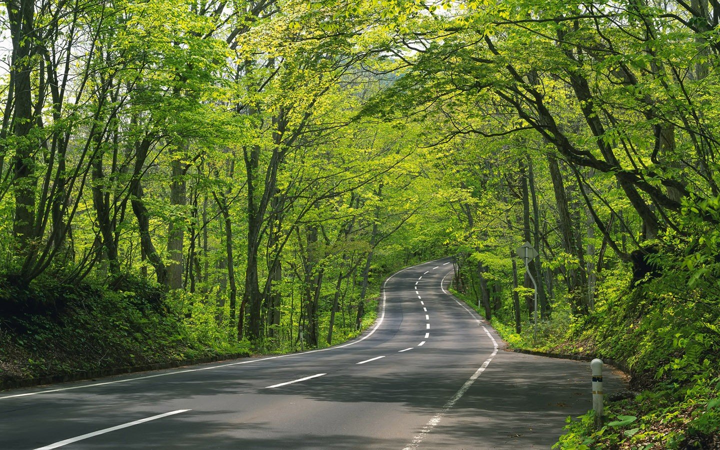 Awesome Road free background ID:491911 for hd 1440x900 computer