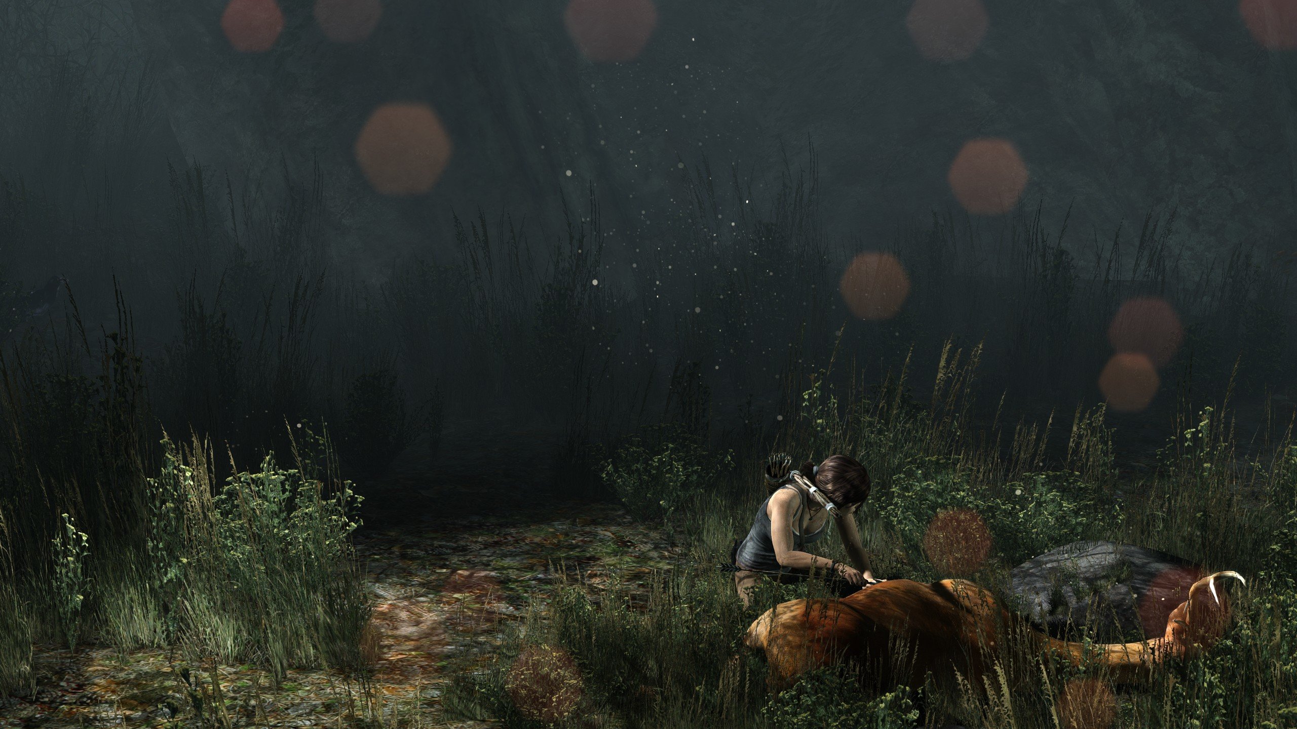 Free download Tomb Raider (Lara Croft) background ID:436990 hd 2560x1440 for PC