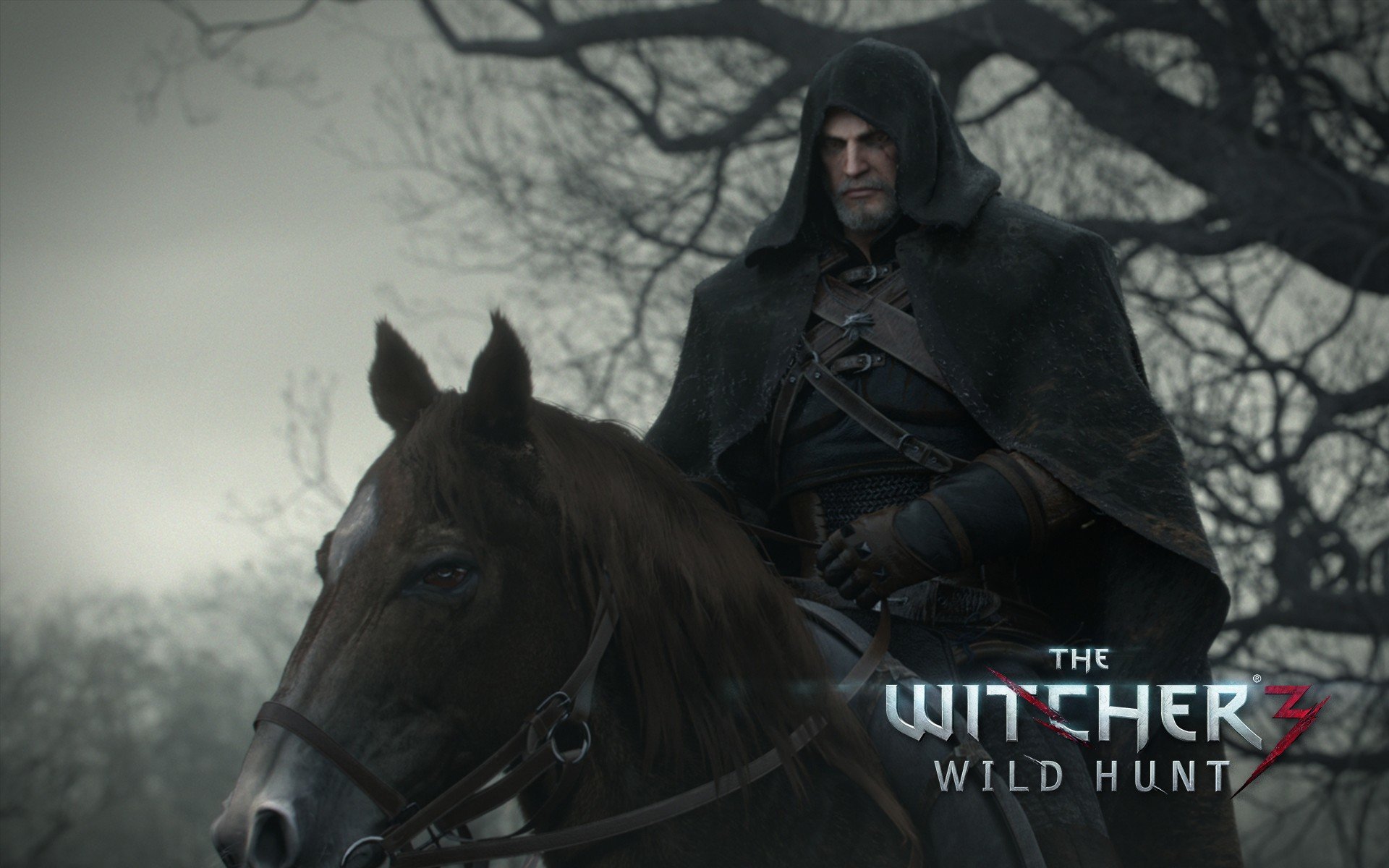 Download hd 1920x1200 The Witcher 3: Wild Hunt computer background ID:18151 for free