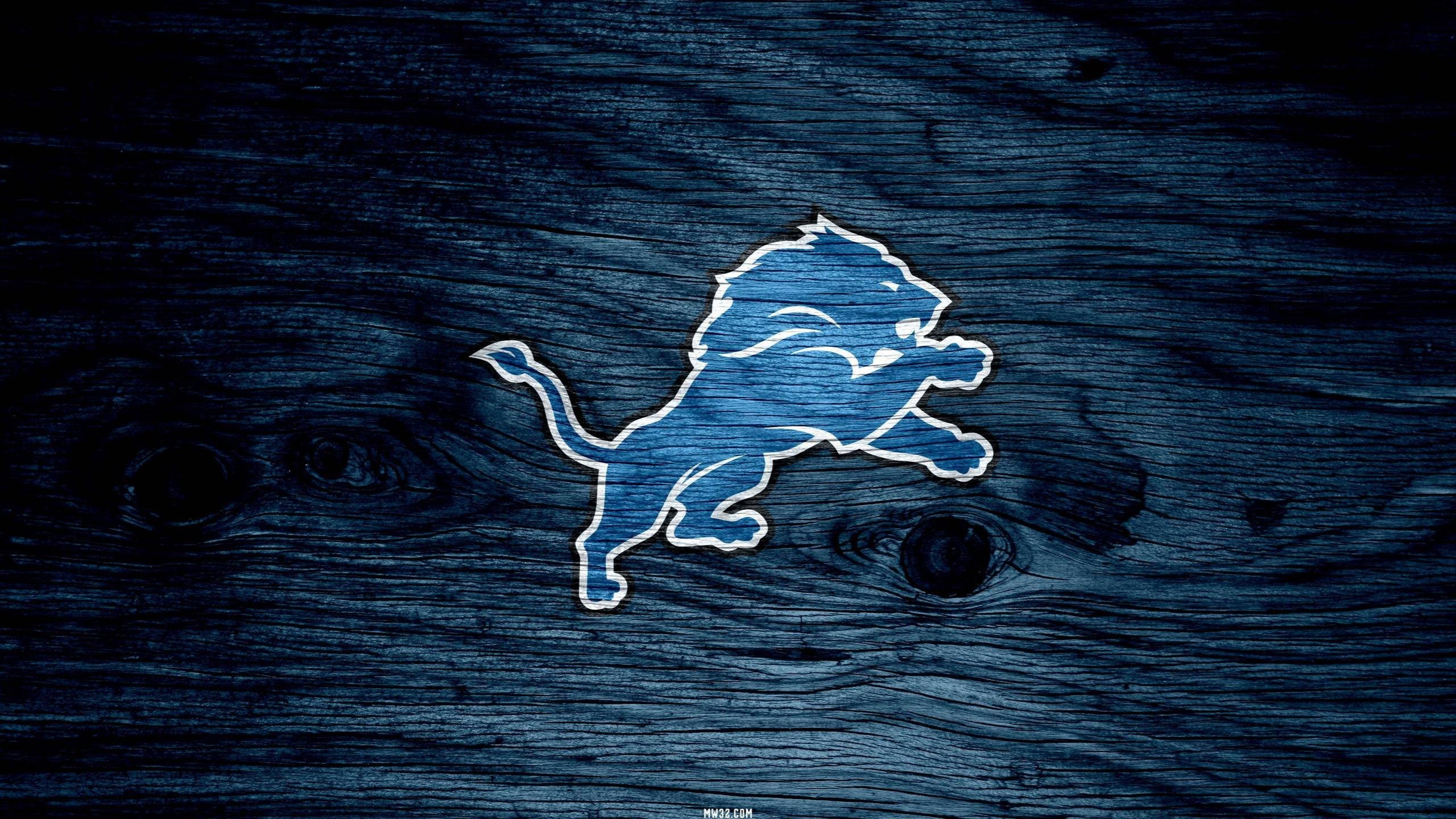 High resolution Detroit Lions hd 2560x1440 background ID:391836 for desktop