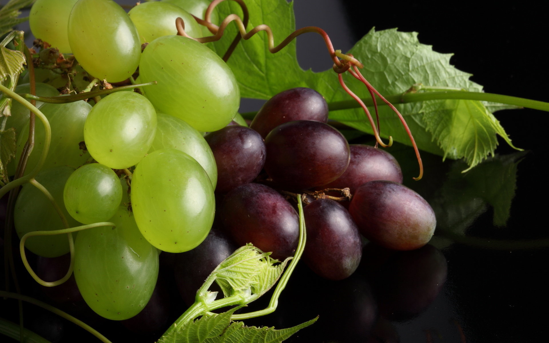High resolution Grapes hd 1920x1200 background ID:420865 for computer