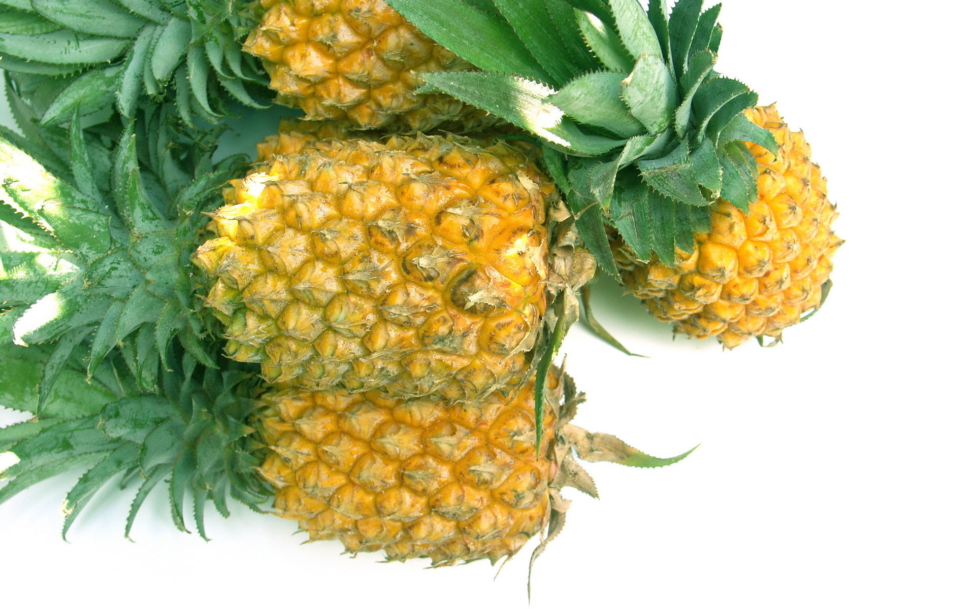 High resolution Pineapple hd 1920x1200 background ID:291148 for PC