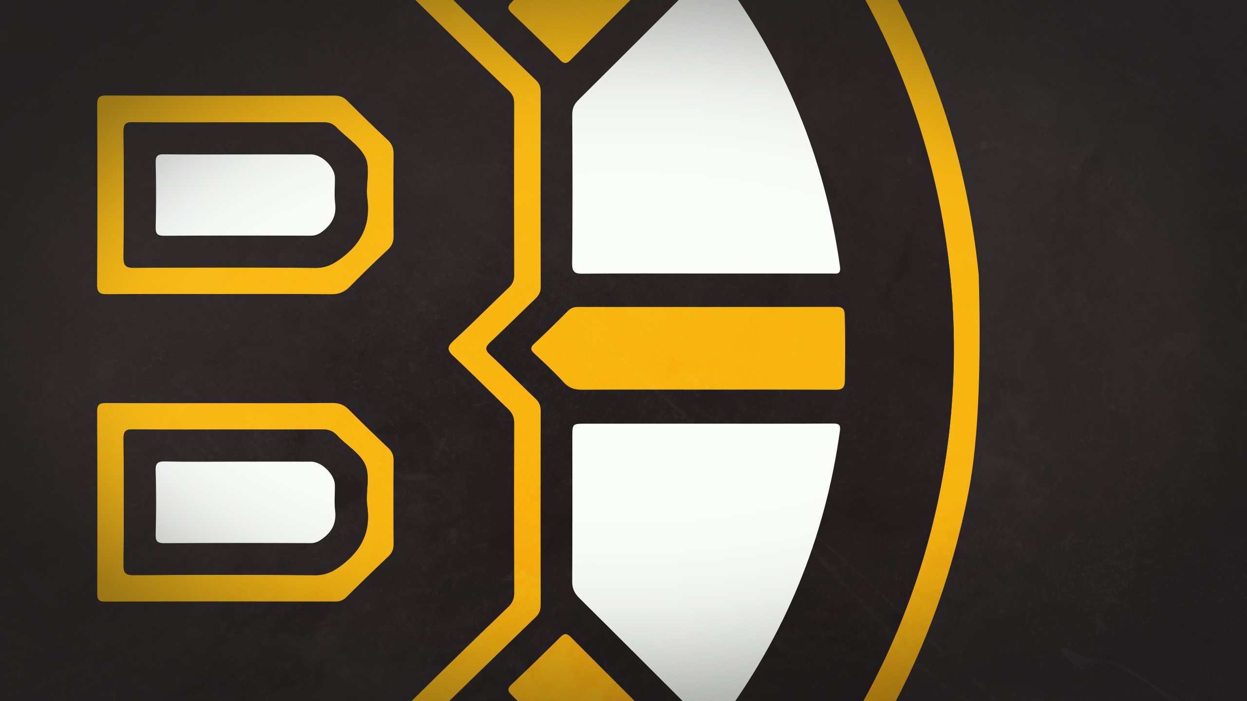 Best Boston Bruins wallpaper ID:334406 for High Resolution hd 2560x1440 desktop