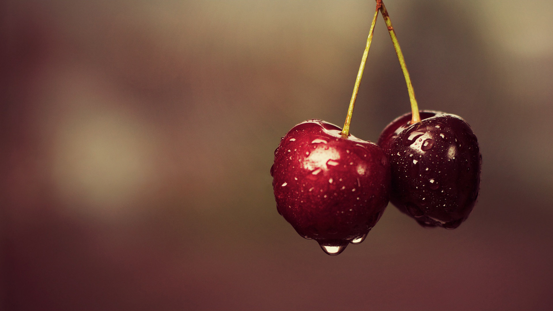 High resolution Cherry hd 1920x1080 wallpaper ID:141796 for computer