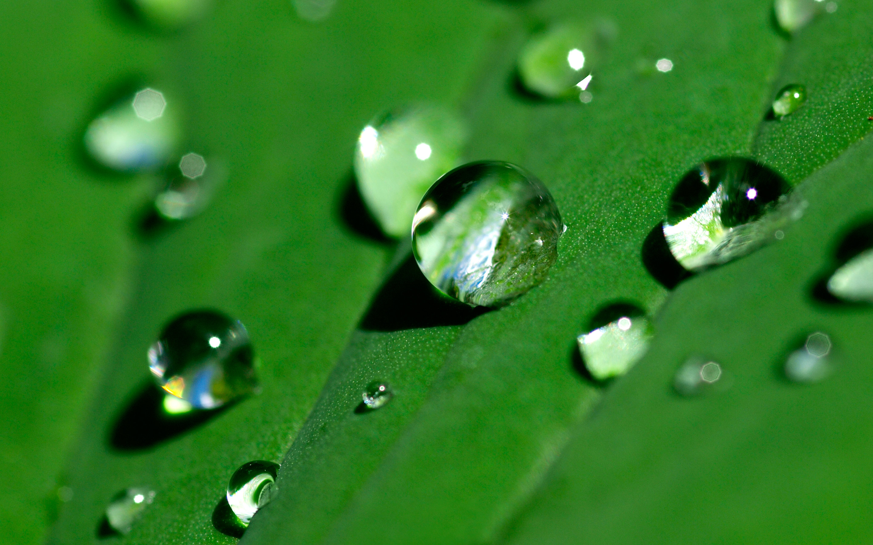 Best Water Drop background ID:430530 for High Resolution hd 2880x1800 computer