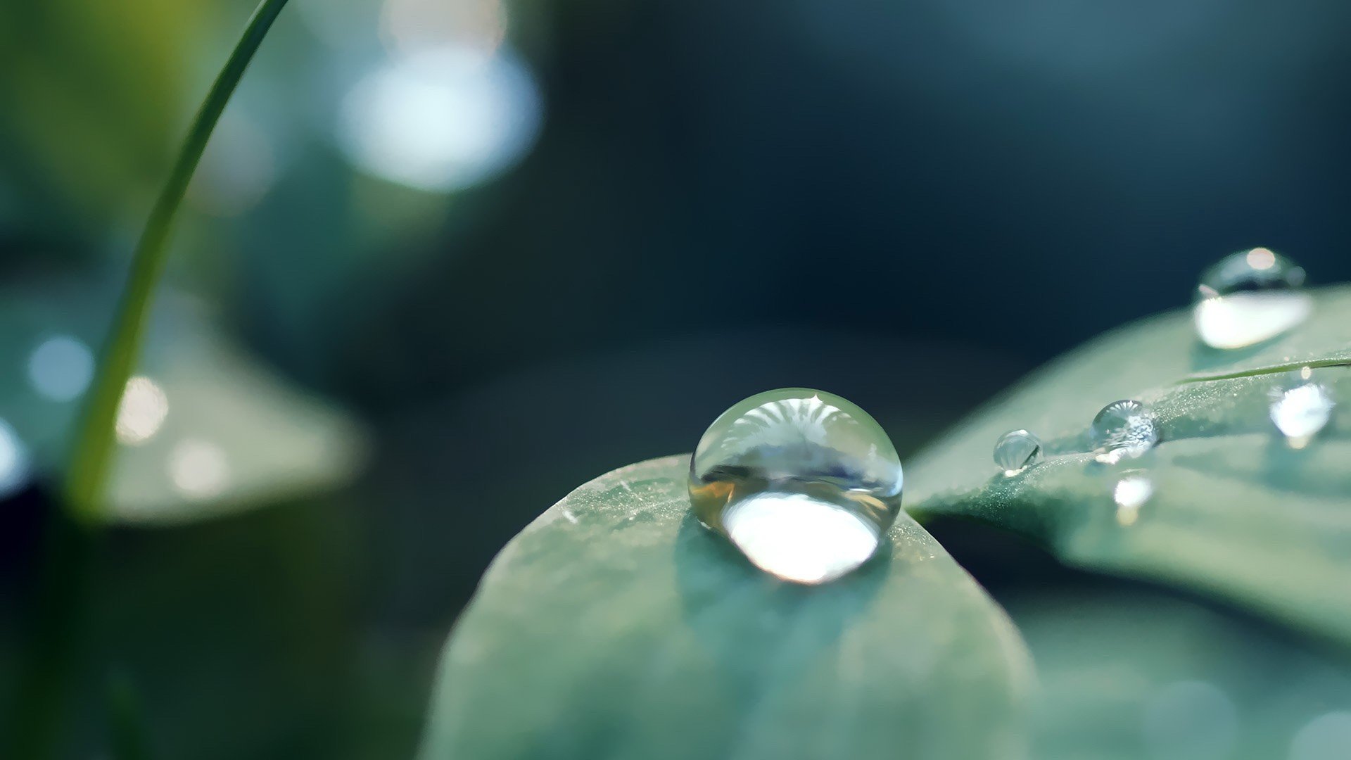 Awesome Water Drop free wallpaper ID:430202 for hd 1080p PC