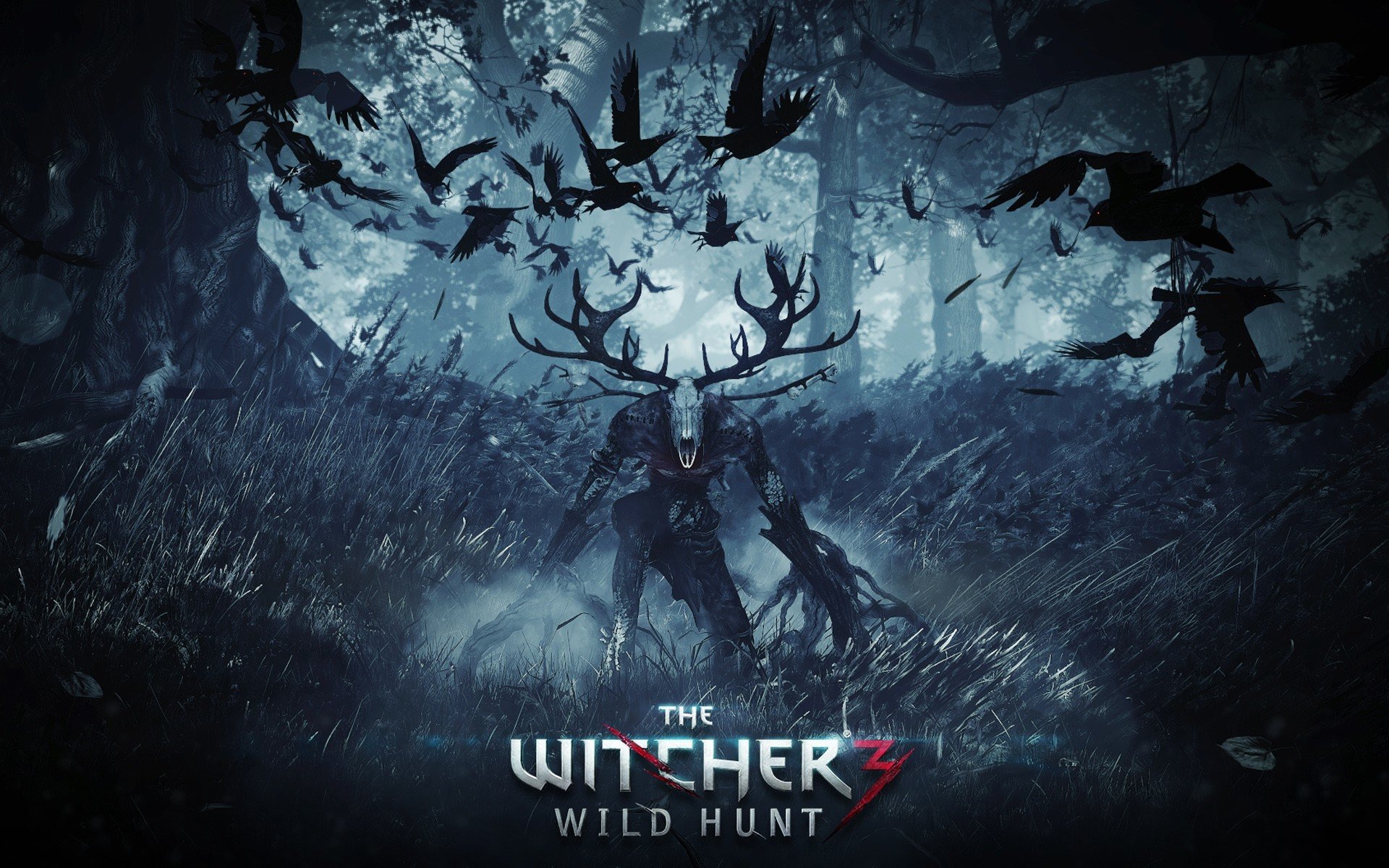 Free download The Witcher 3: Wild Hunt wallpaper ID:17892 hd 1920x1200 for desktop