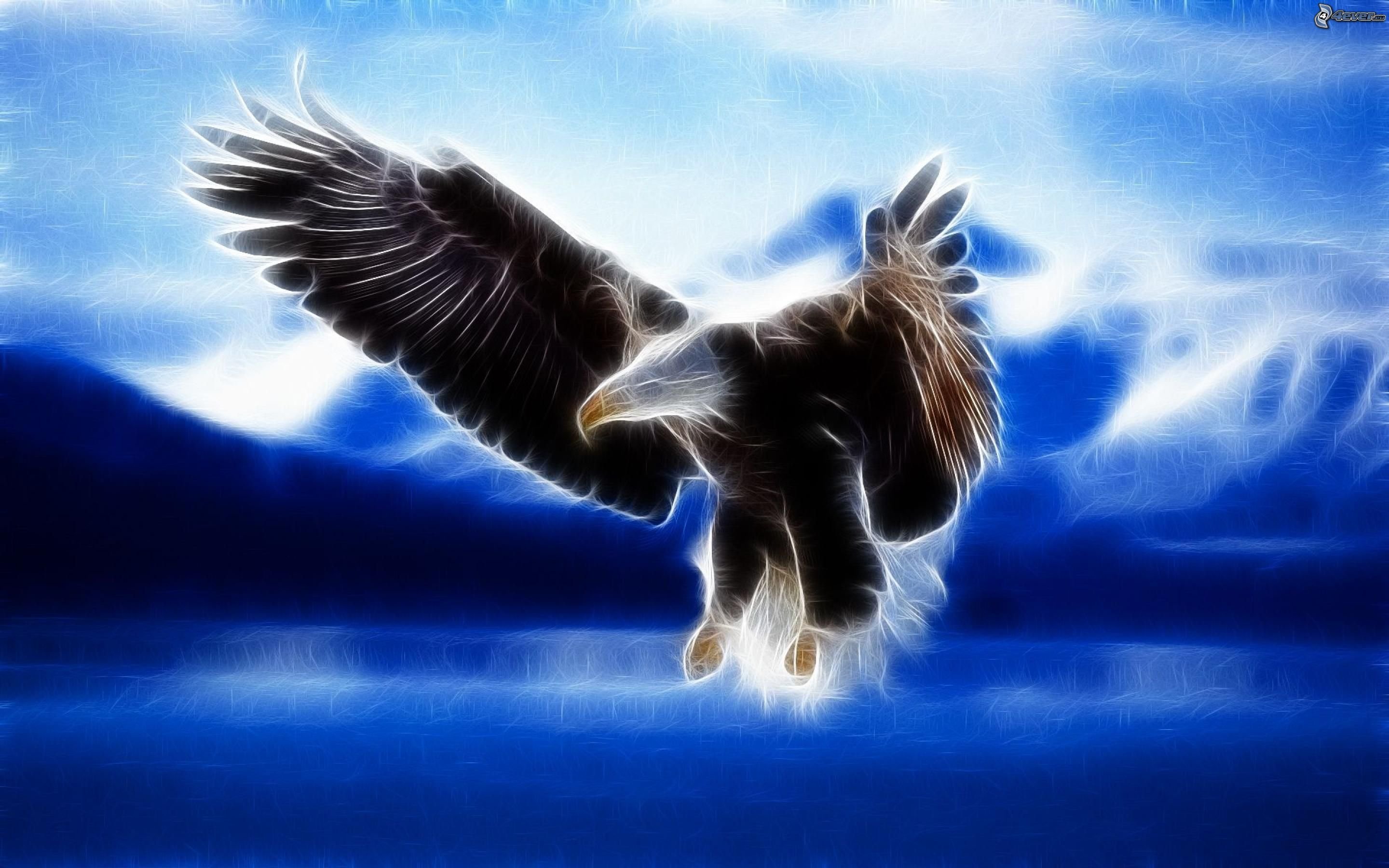 Best American Bald Eagle background ID:68731 for High Resolution hd 2880x1800 PC
