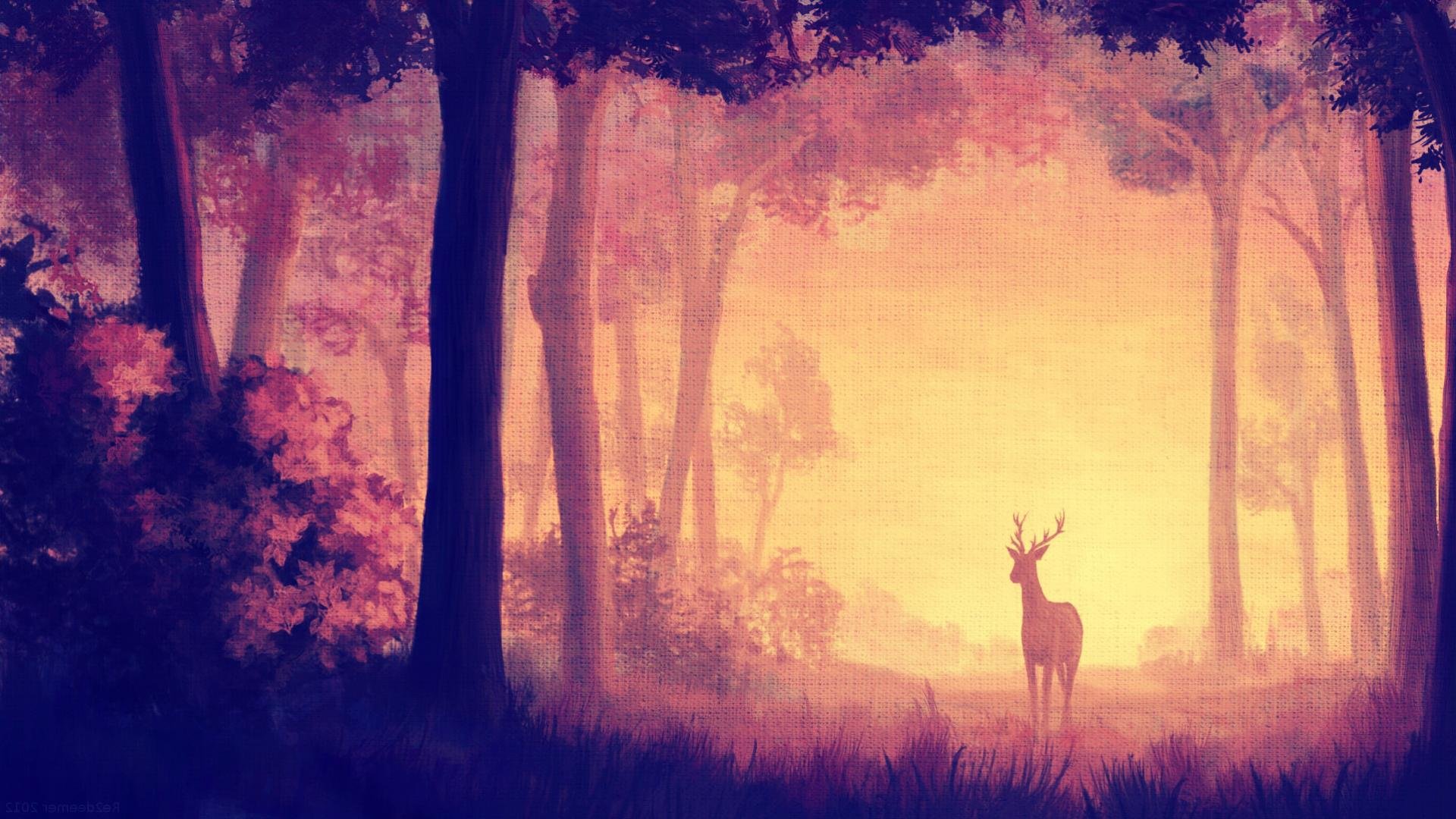 Featured image of post High Resolution Fantasy Forest Wallpaper We ve gathered more than 5 million images uploaded by our users and sorted them by the most popular ones
