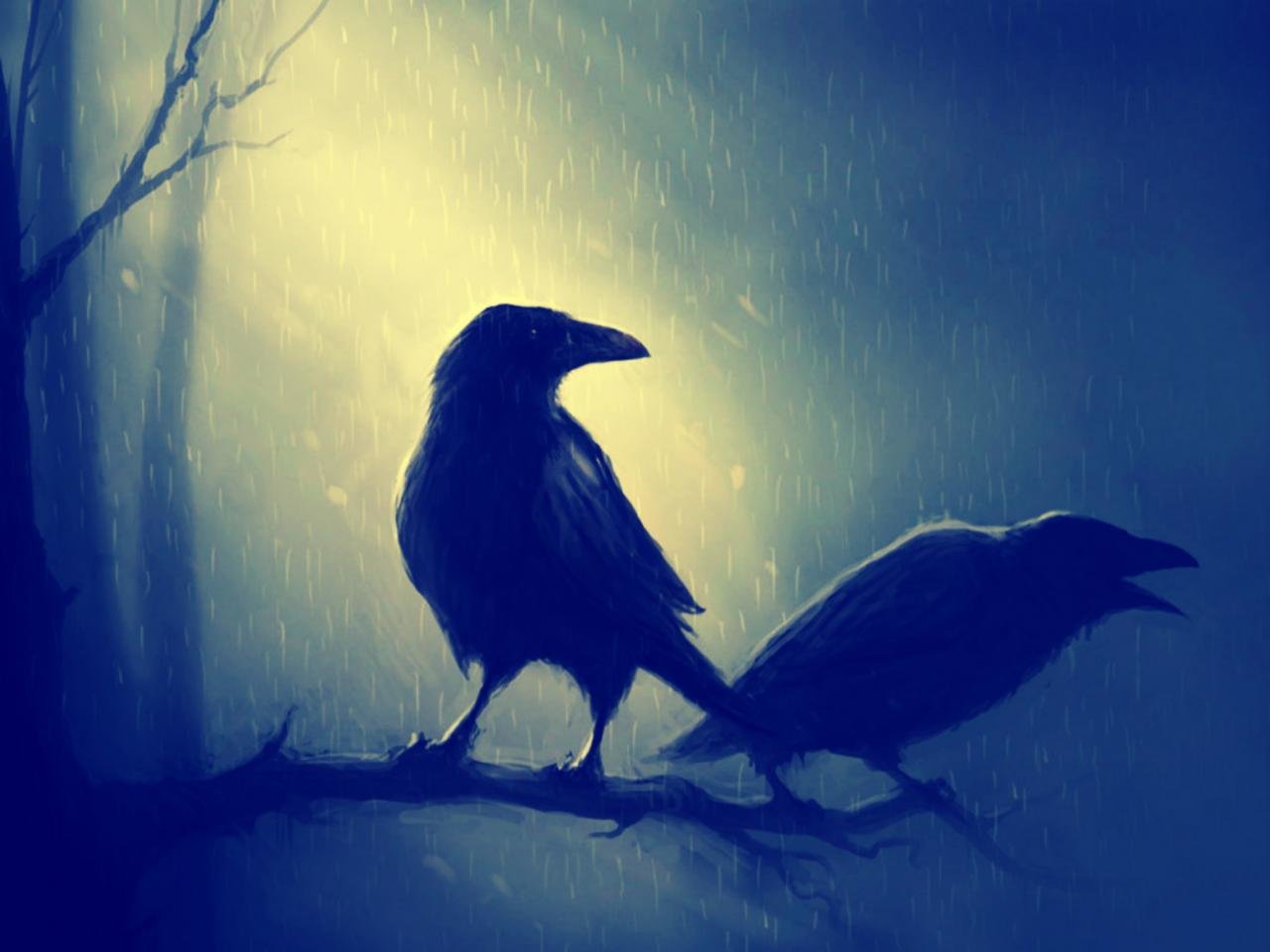 Best Raven background ID:397364 for High Resolution hd 1280x960 computer