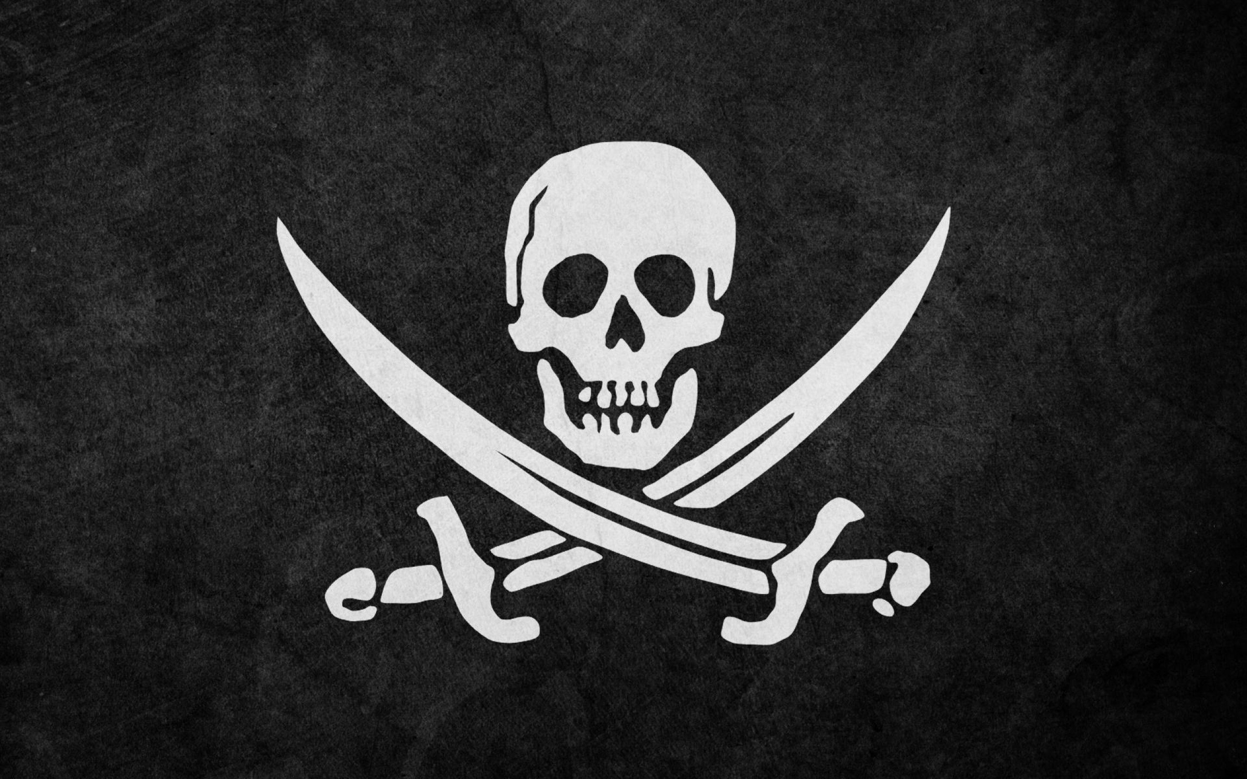 Download hd 2560x1600 Pirate Flag computer background ID:488678 for free