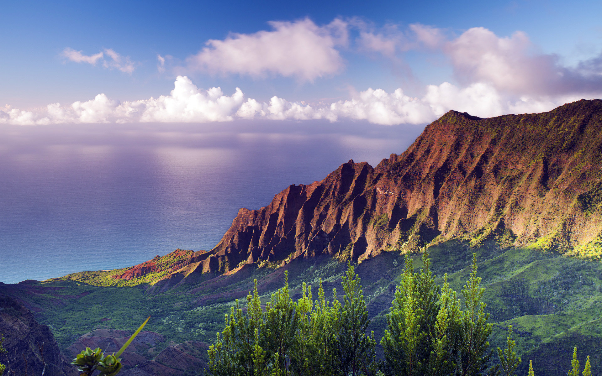 Download hd 1920x1200 Hawaii PC background ID:493576 for free
