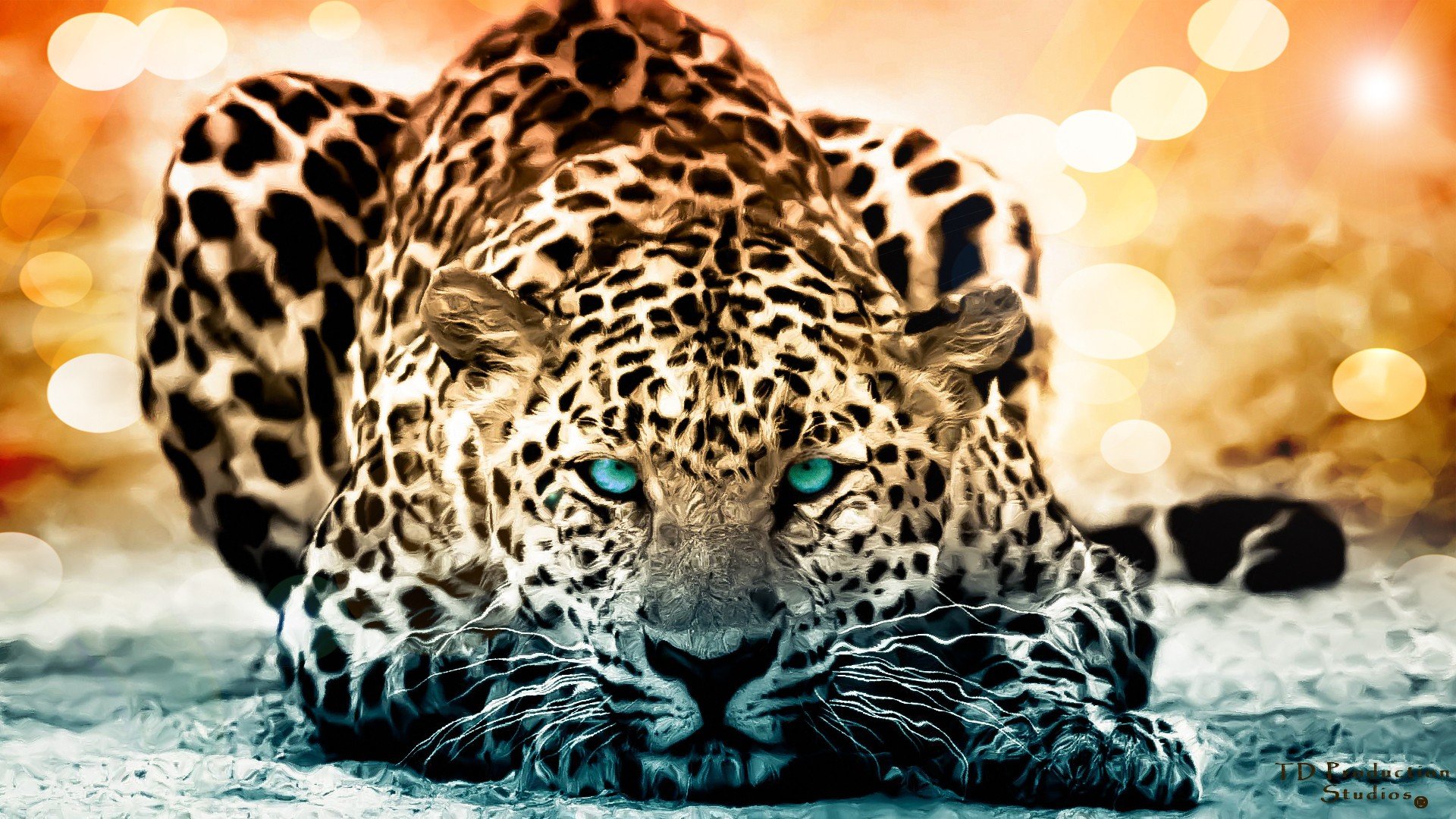 Best Jaguar background ID:30126 for High Resolution full hd 1920x1080 computer