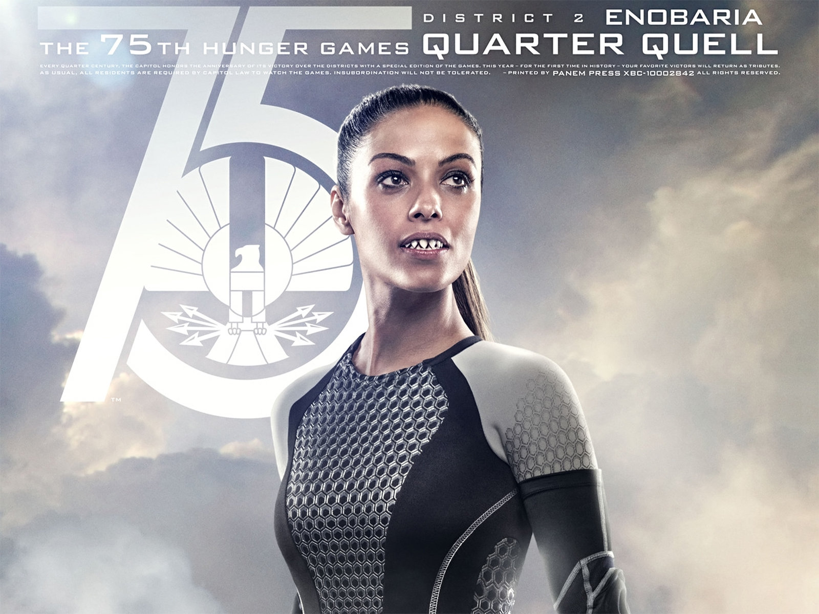 Free The Hunger Games: Catching Fire high quality background ID:403333 for hd 1600x1200 PC