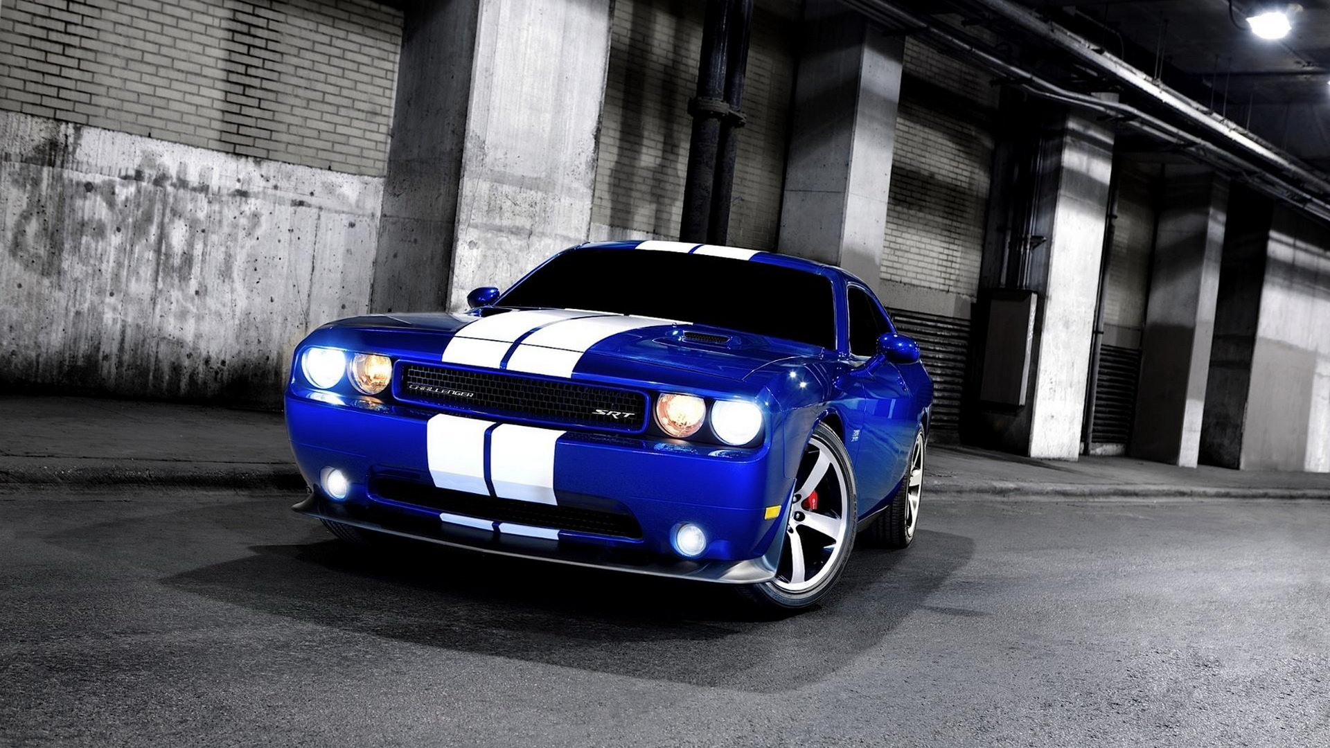 Best Dodge Challenger SRT8 background ID:445881 for High Resolution full hd 1080p desktop