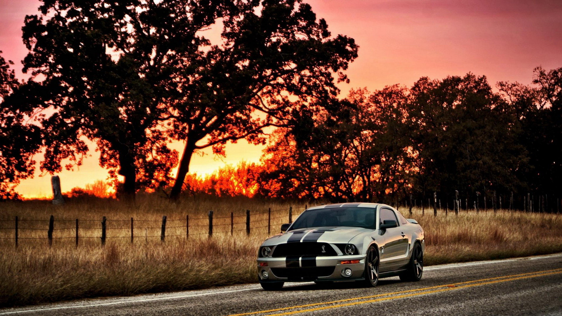 Awesome Ford Mustang Shelby GT500 Cobra free background ID:240005 for hd 1080p computer