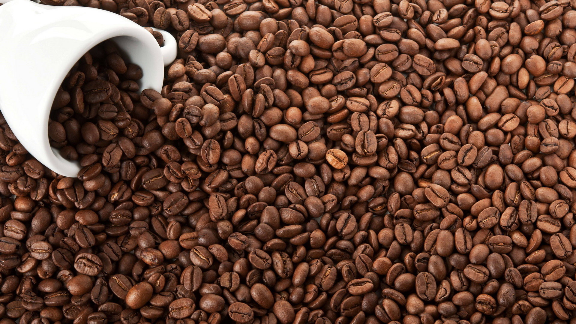 Free Coffee high quality background ID:33639 for full hd 1080p computer