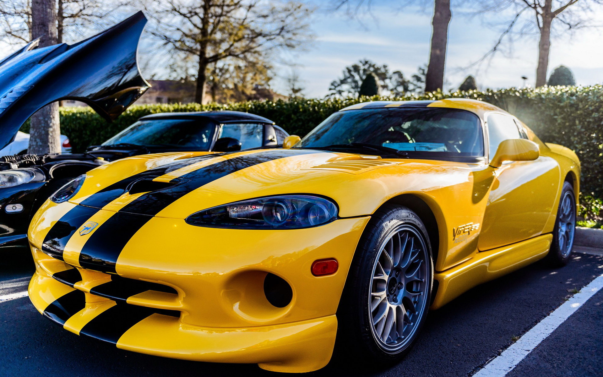 Awesome Dodge Viper free wallpaper ID:8317 for hd 1920x1200 computer