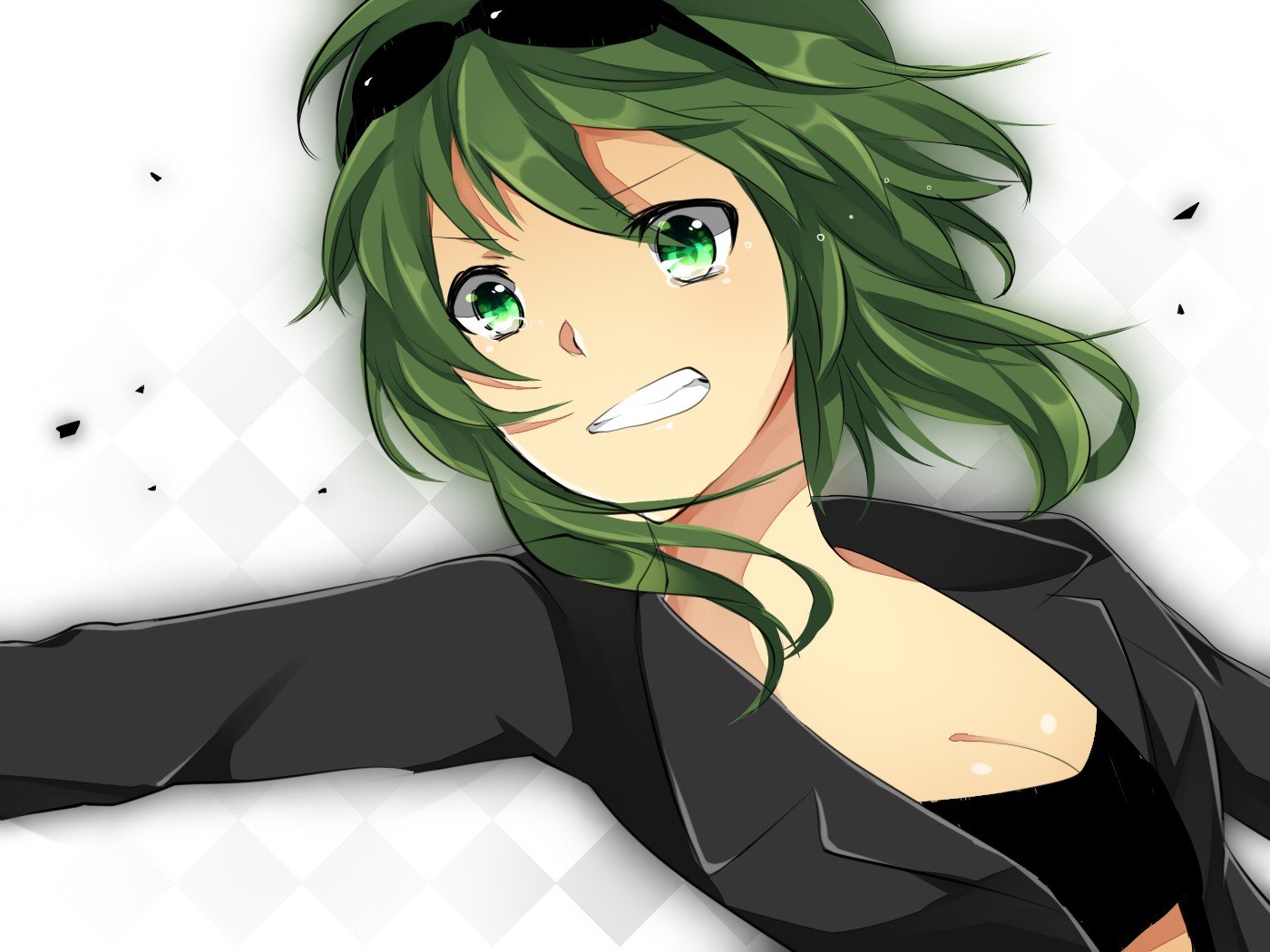 Free download GUMI (Vocaloid) background ID:1739 hd 1400x1050 for PC