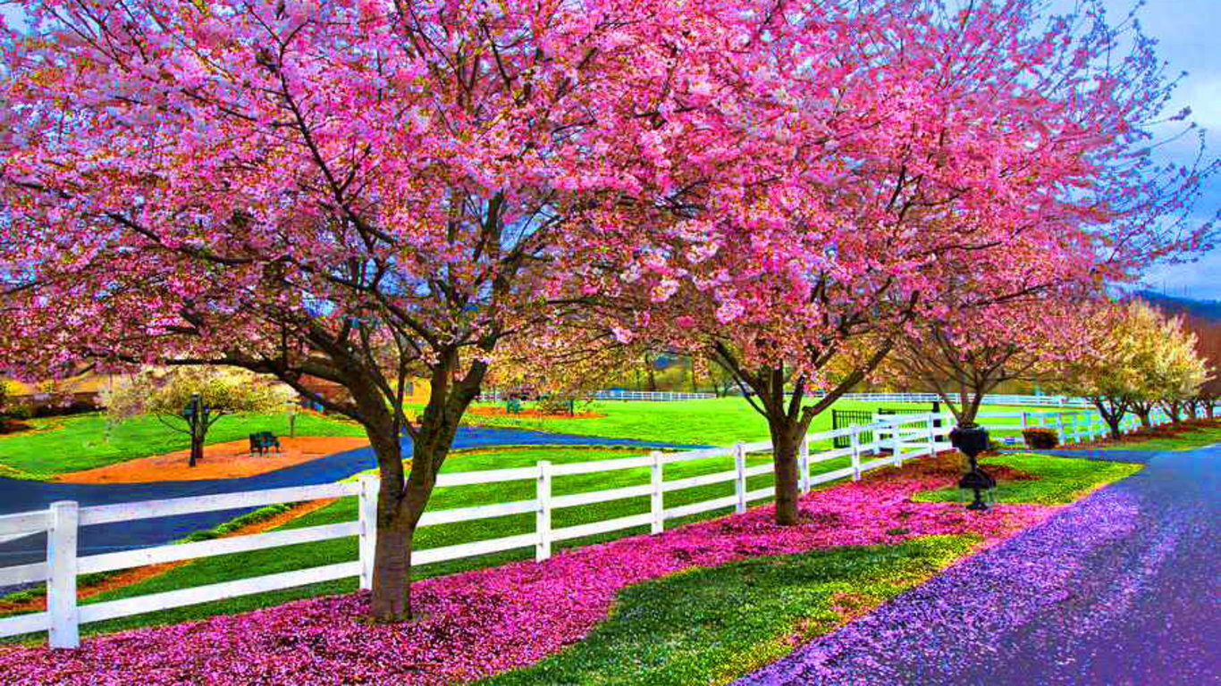 Awesome Fence free background ID:22906 for laptop desktop