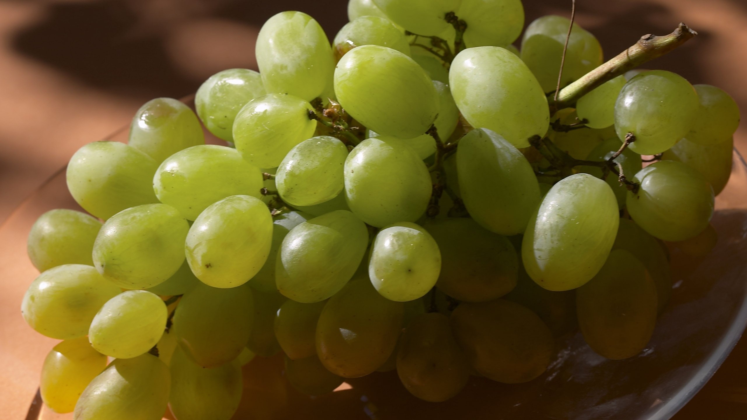 Awesome Grapes free wallpaper ID:420817 for hd 2560x1440 desktop
