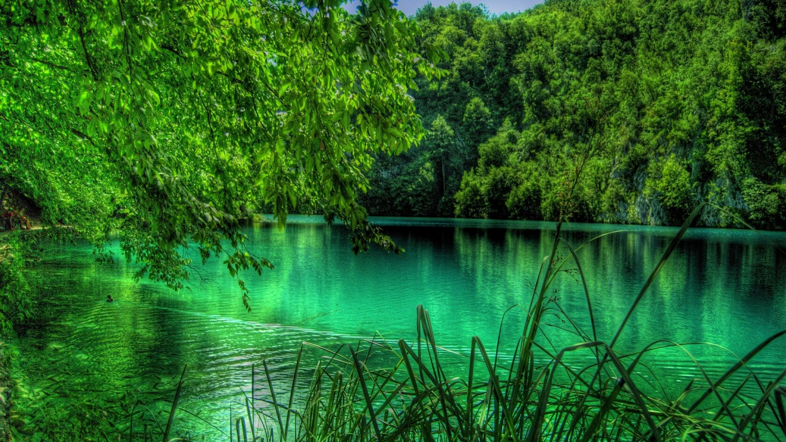 Best Lake Wallpaper Id 3000 For High Resolution Hd 1600x900 Pc