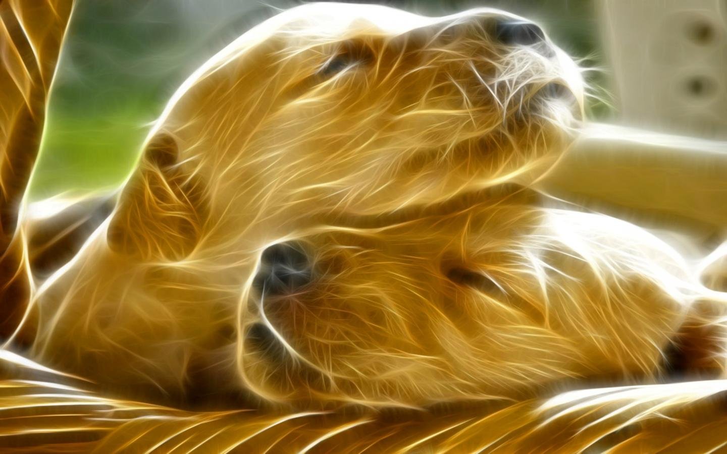 Free download Dog background ID:308361 hd 1440x900 for computer