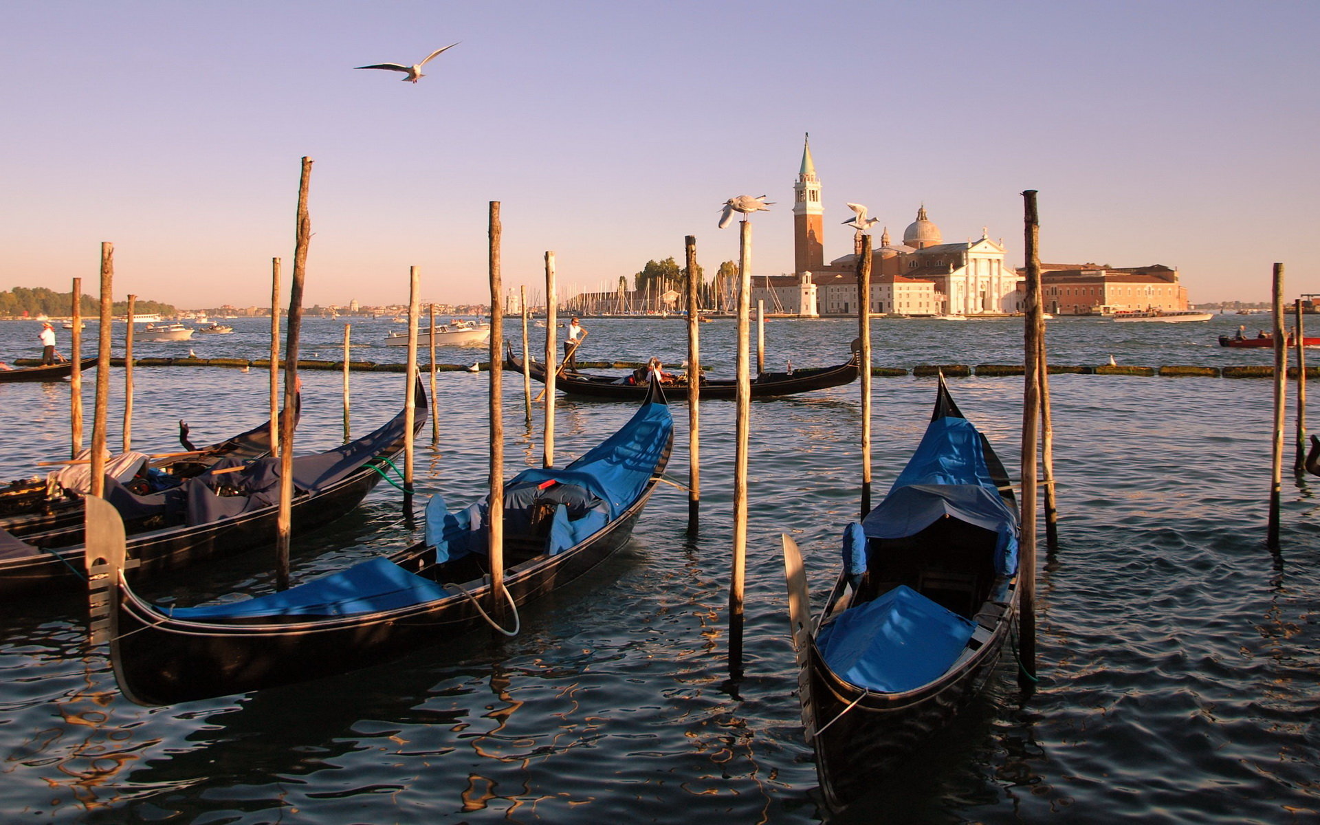 Awesome Venice free wallpaper ID:492914 for hd 1920x1200 PC