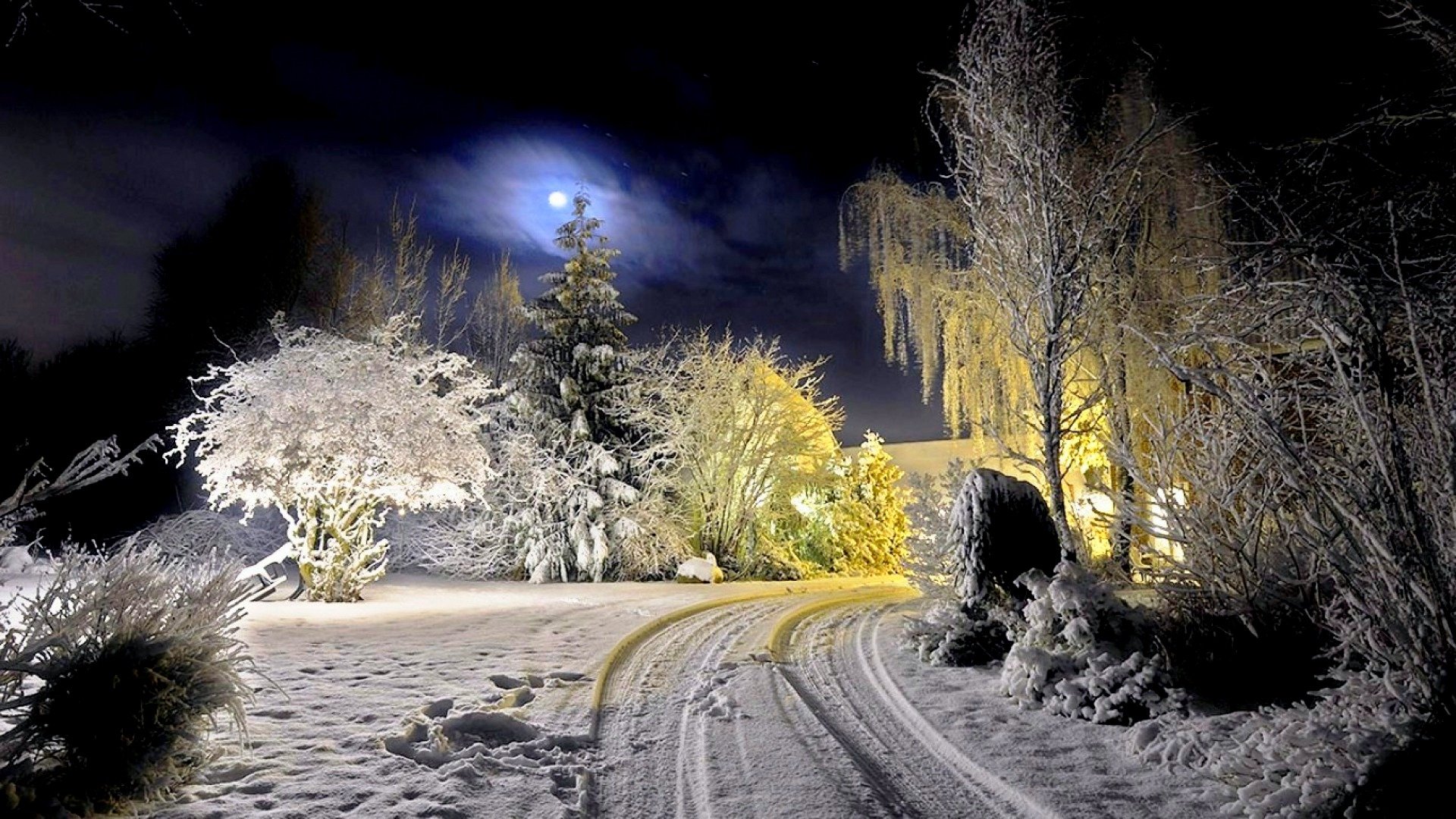 Awesome Winter free wallpaper ID:250763 for full hd 1080p PC
